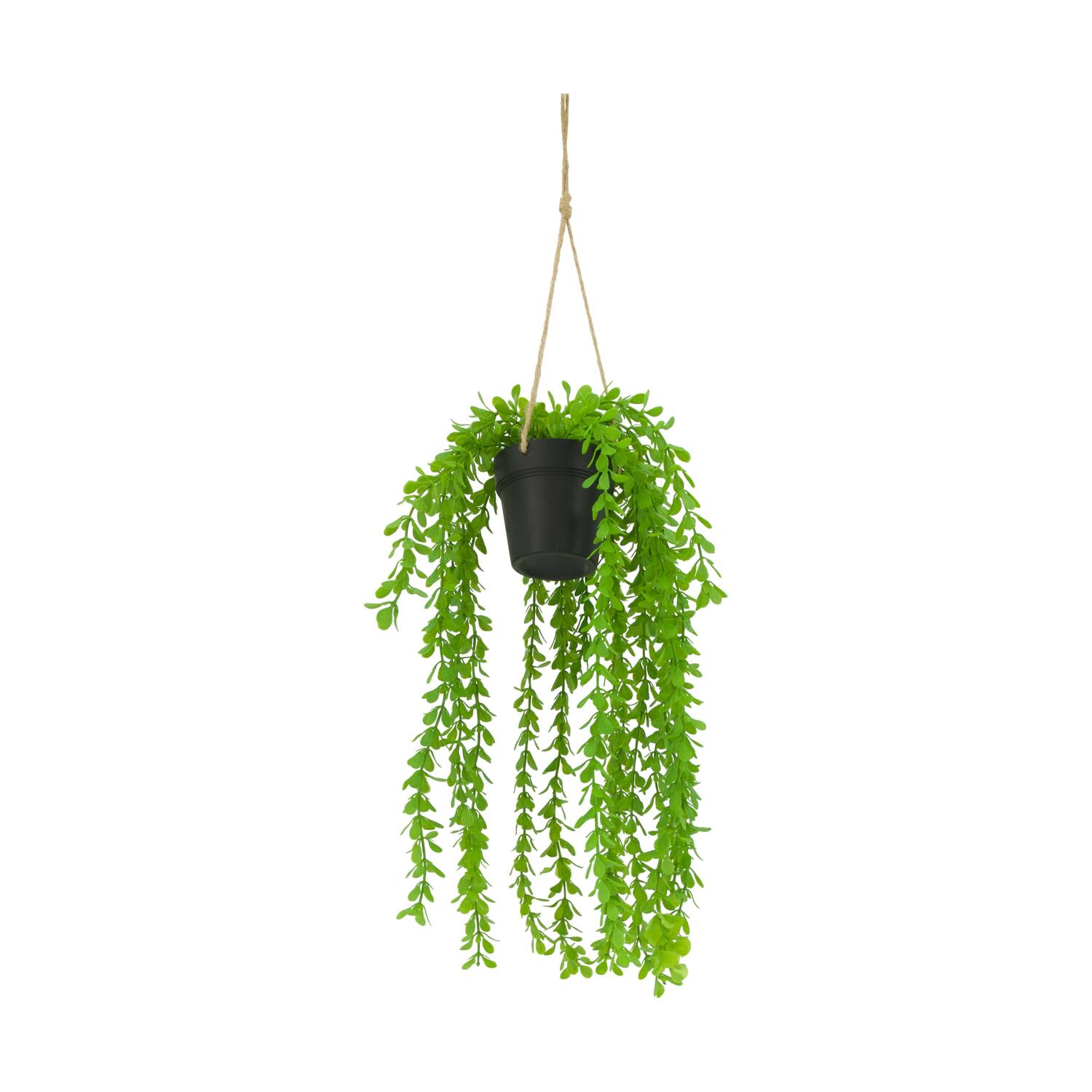 Plant dischidia PE with hanger 16x16x65cm