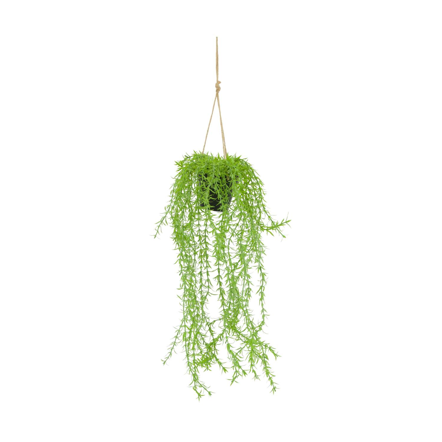 Plant willow PE with hanger 16x16x75cm - Green