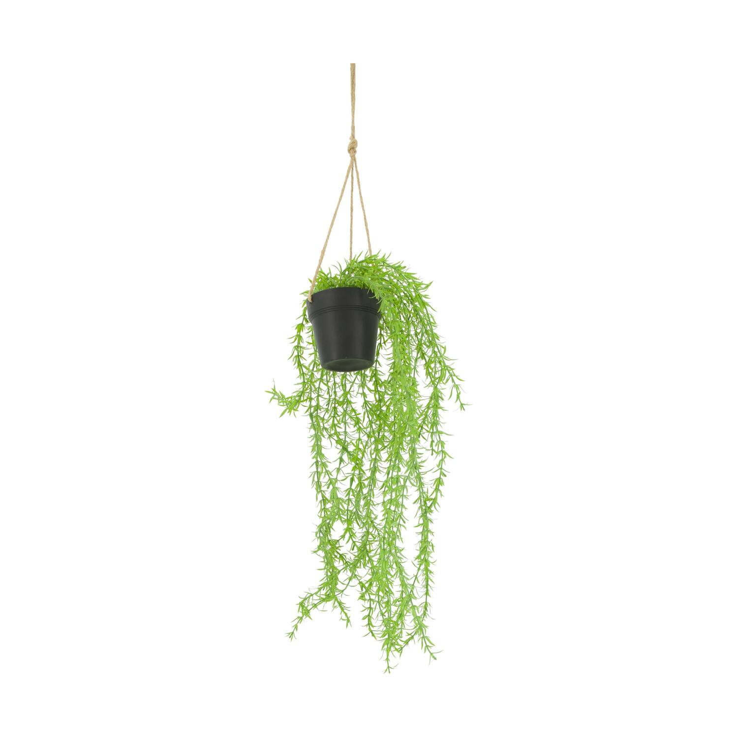 Plant willow PE with hanger 16x16x75cm - Green