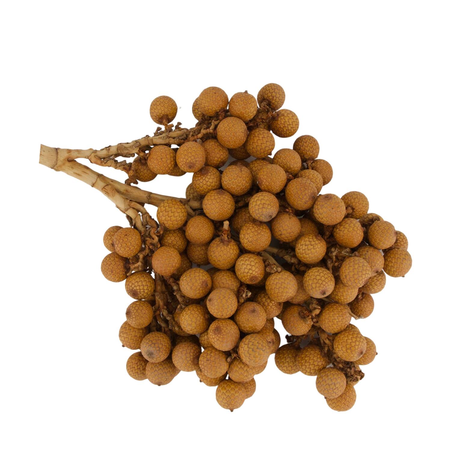 Branch rattan fruit nature 20x20x5cm 500gr