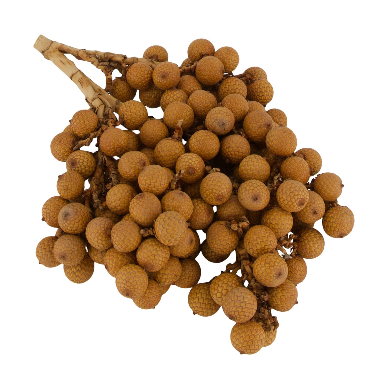 Branch rattan fruit nature 20x20x5cm 500gr