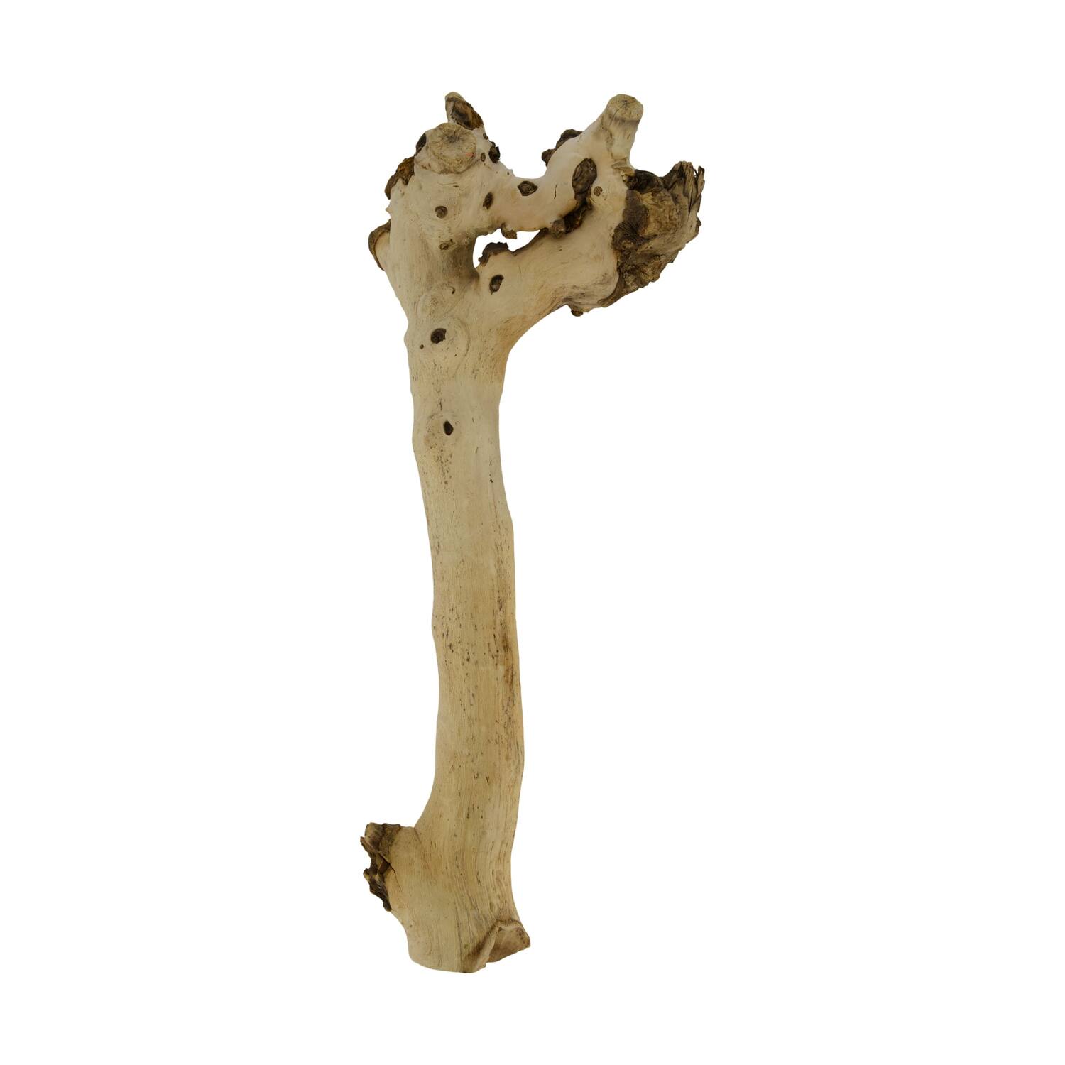 Root driftwood 49x18x6cm