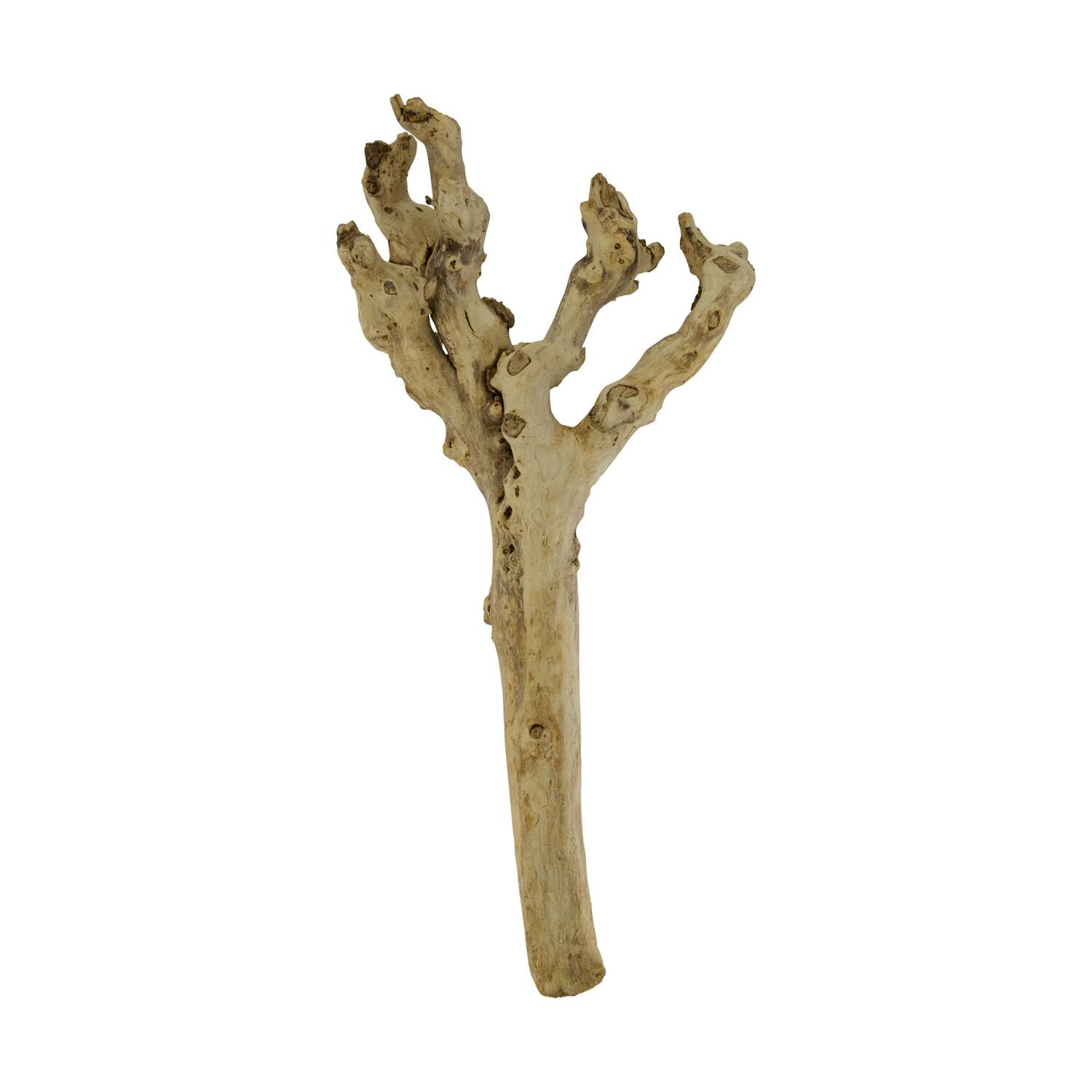 Root driftwood 56.5x18x6cm - Natural