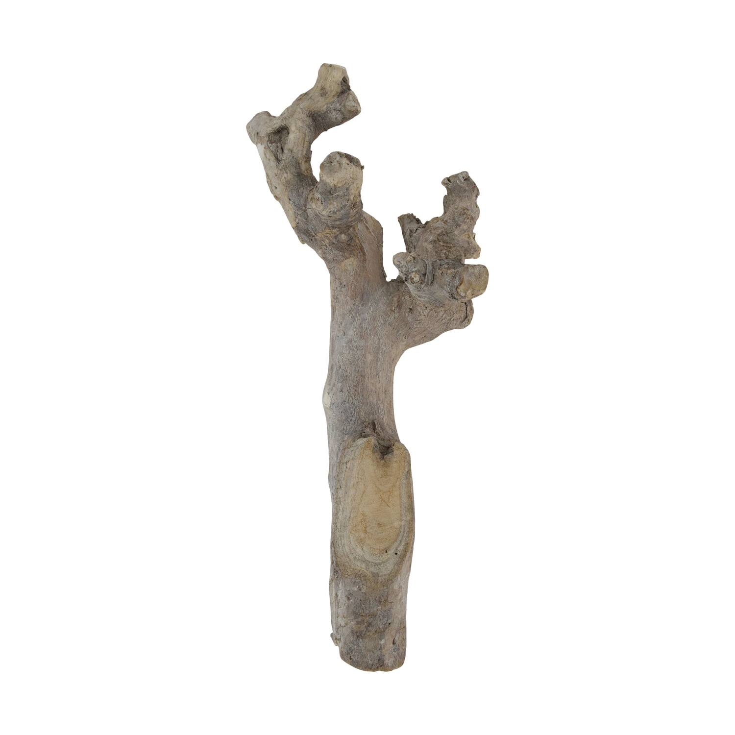 Root driftwood 28.5x15x6cm - White