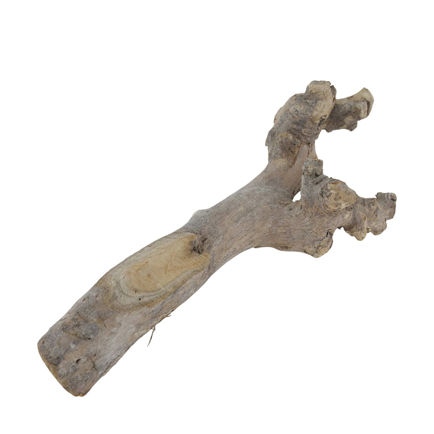 Root driftwood 28.5x15x6cm - White