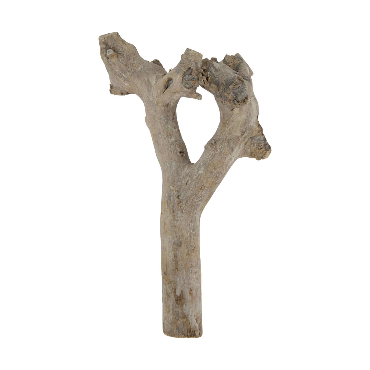 Root driftwood 36.5x15x6cm - White