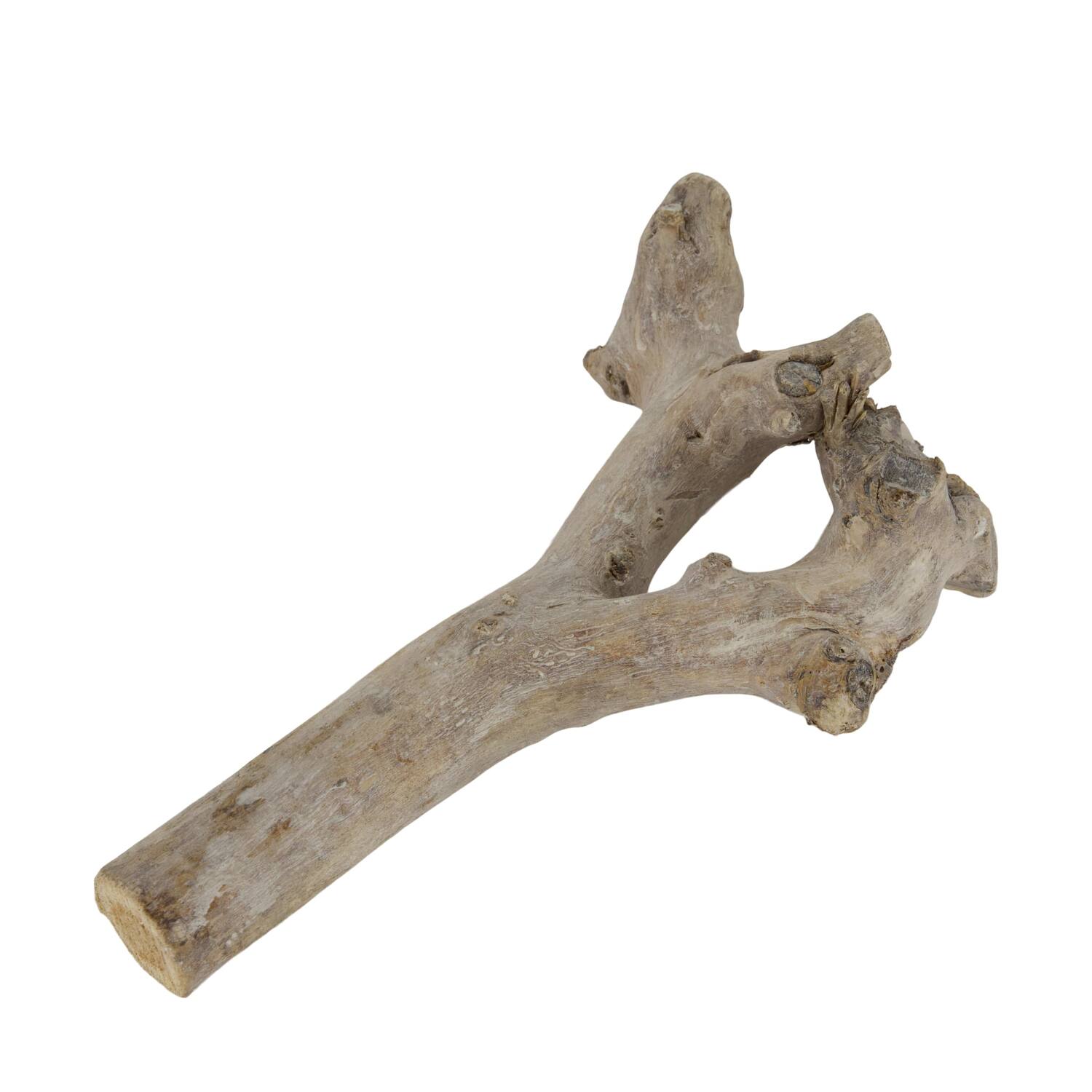Root driftwood 36.5x15x6cm - White
