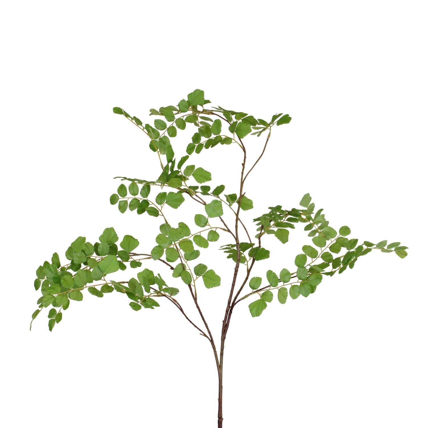 Branch Acacia leaf spray artificial 132x58x20cm