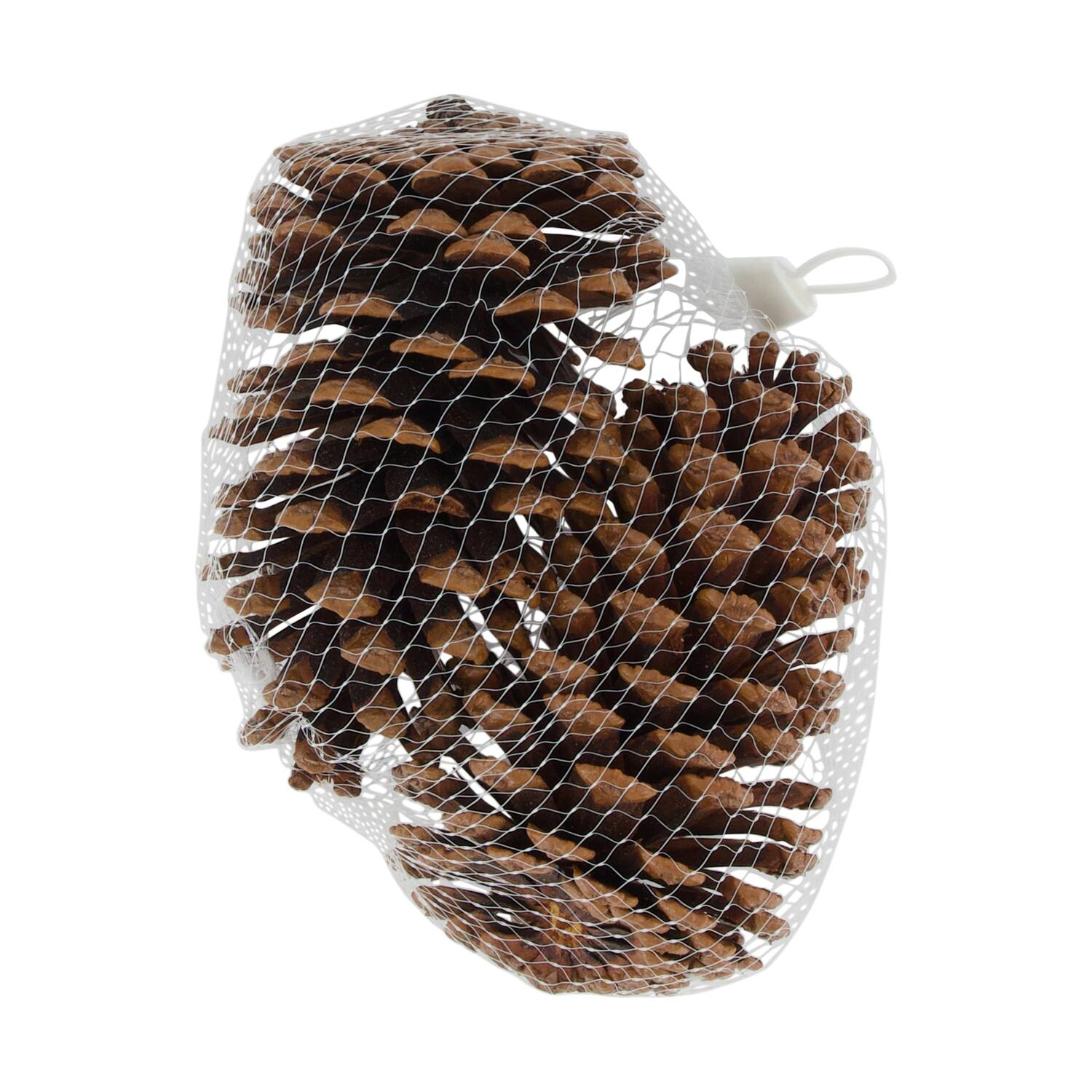 Pinecone nature 14x9x18cm 2pc - Natural