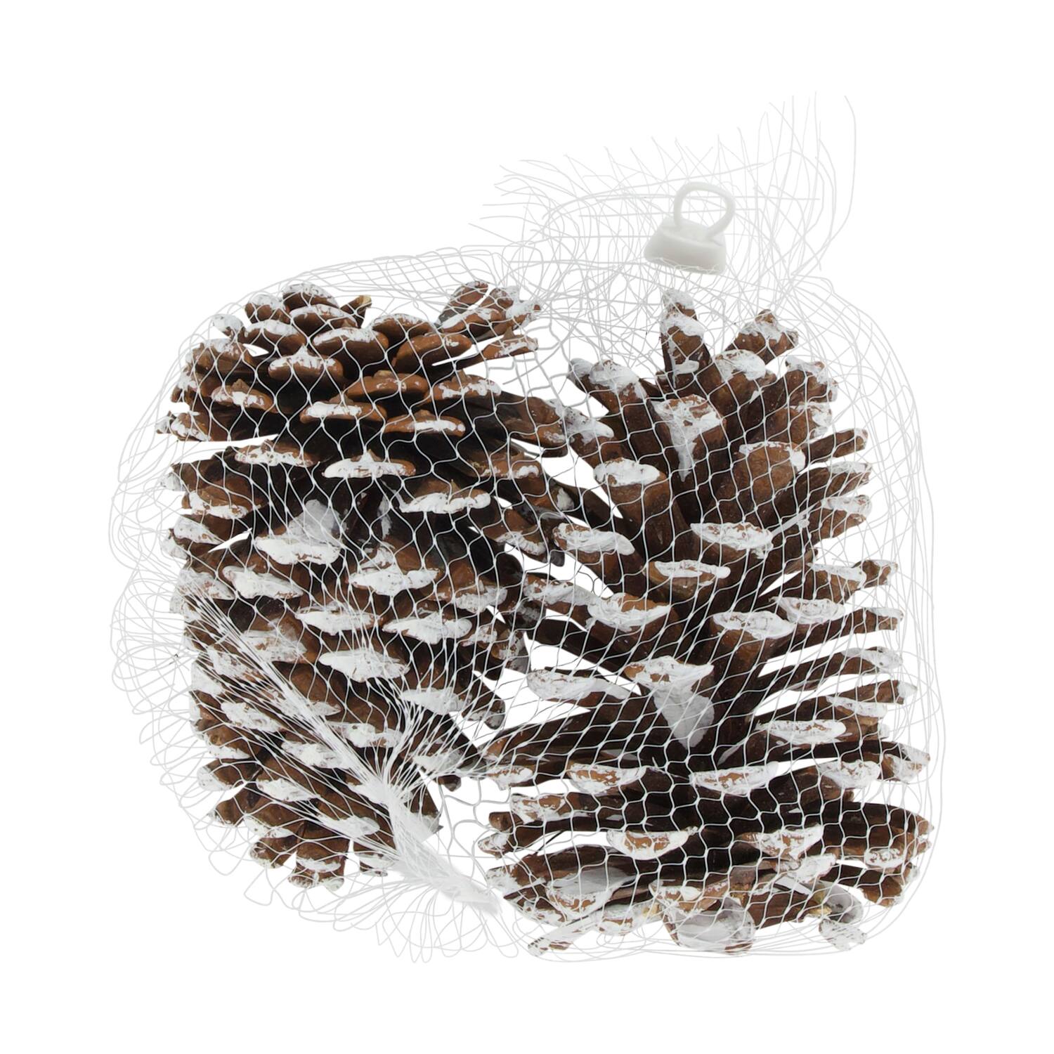 Pinecone nature 14x9x18cm 2pc