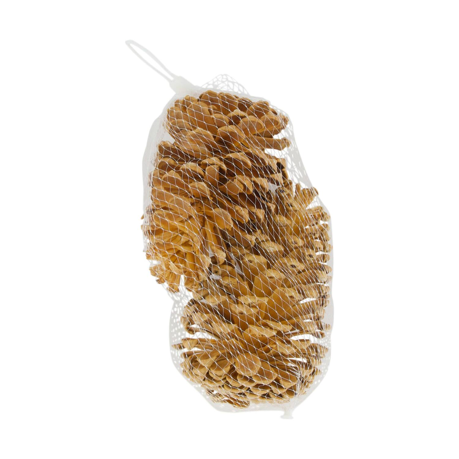 Pinecone nature 14x9x18cm 2pc - Cream
