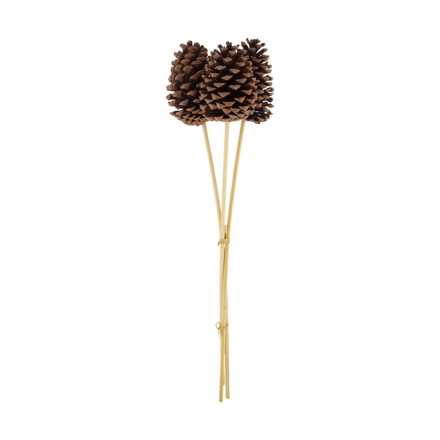 Pinecone nature on stick 14x14x55cm 3pc - Natural