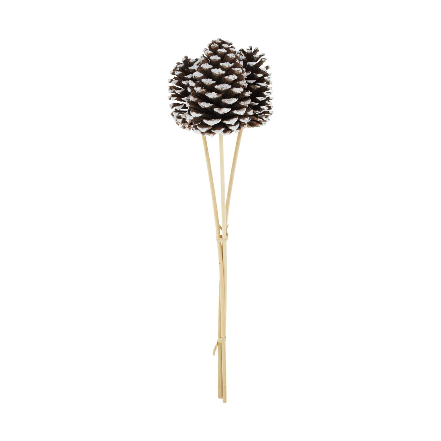 Pinecone nature on stick 14x14x55cm 3pc
