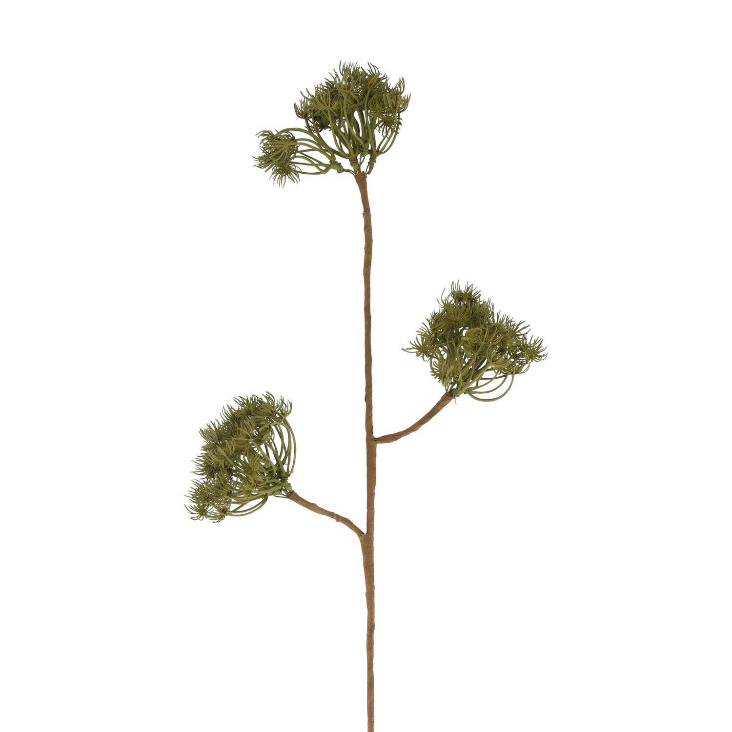 Branch heracleum artificial 77x20x10cm - Green