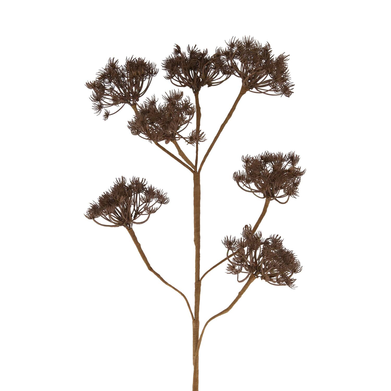 Branch heracleum artificial 115x40x10cm