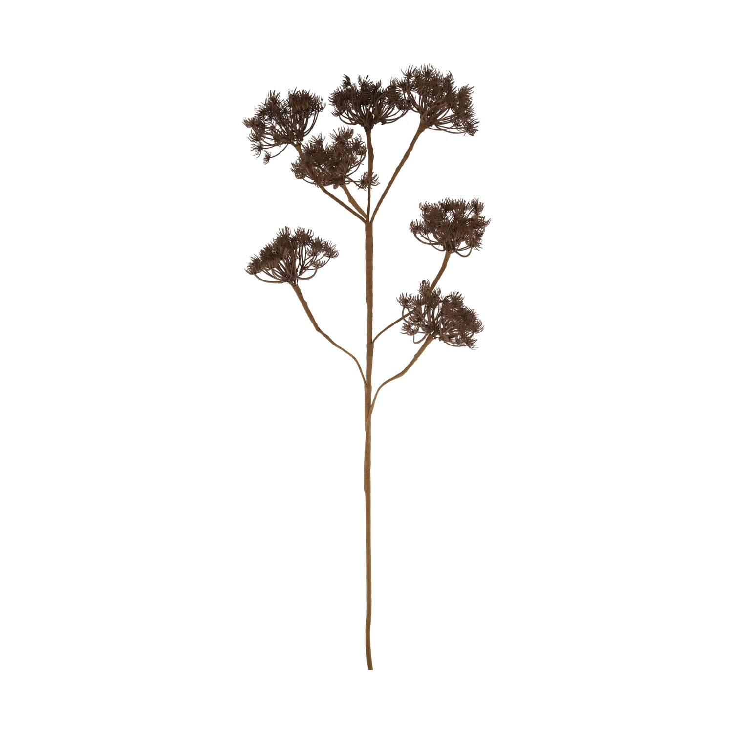 Branch heracleum artificial 115x40x10cm