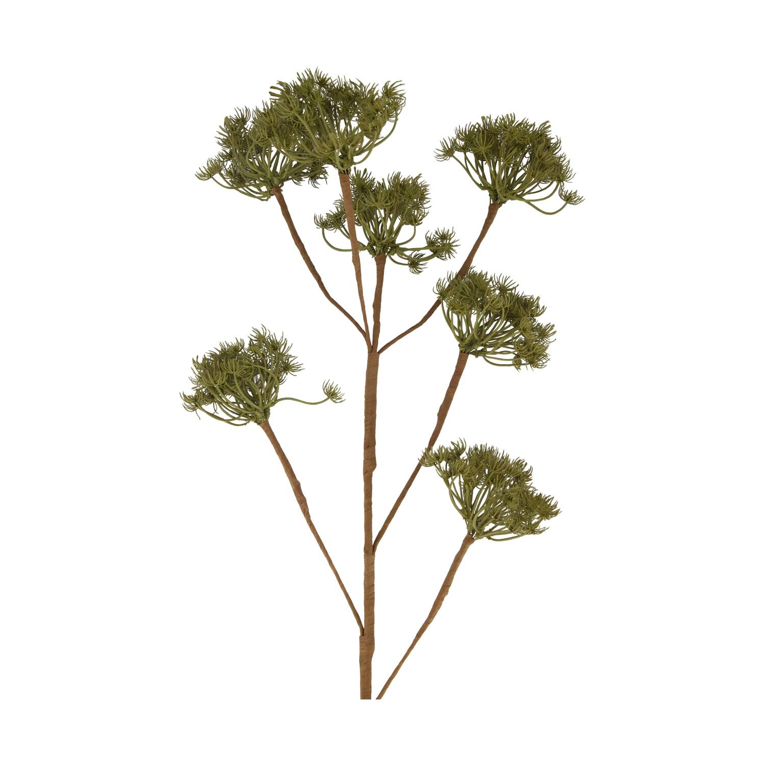 Branch heracleum artificial 115x40x10cm - Green