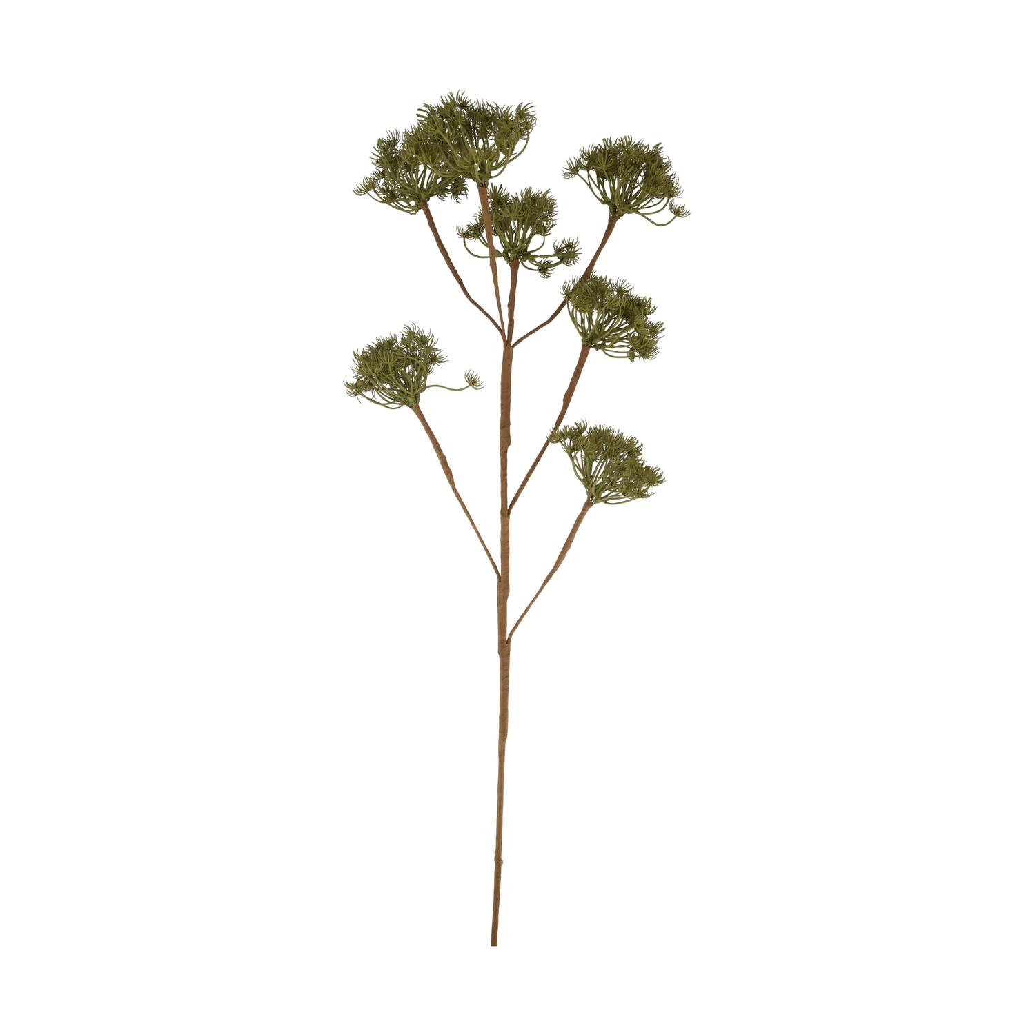 Branch heracleum artificial 115x40x10cm - Green