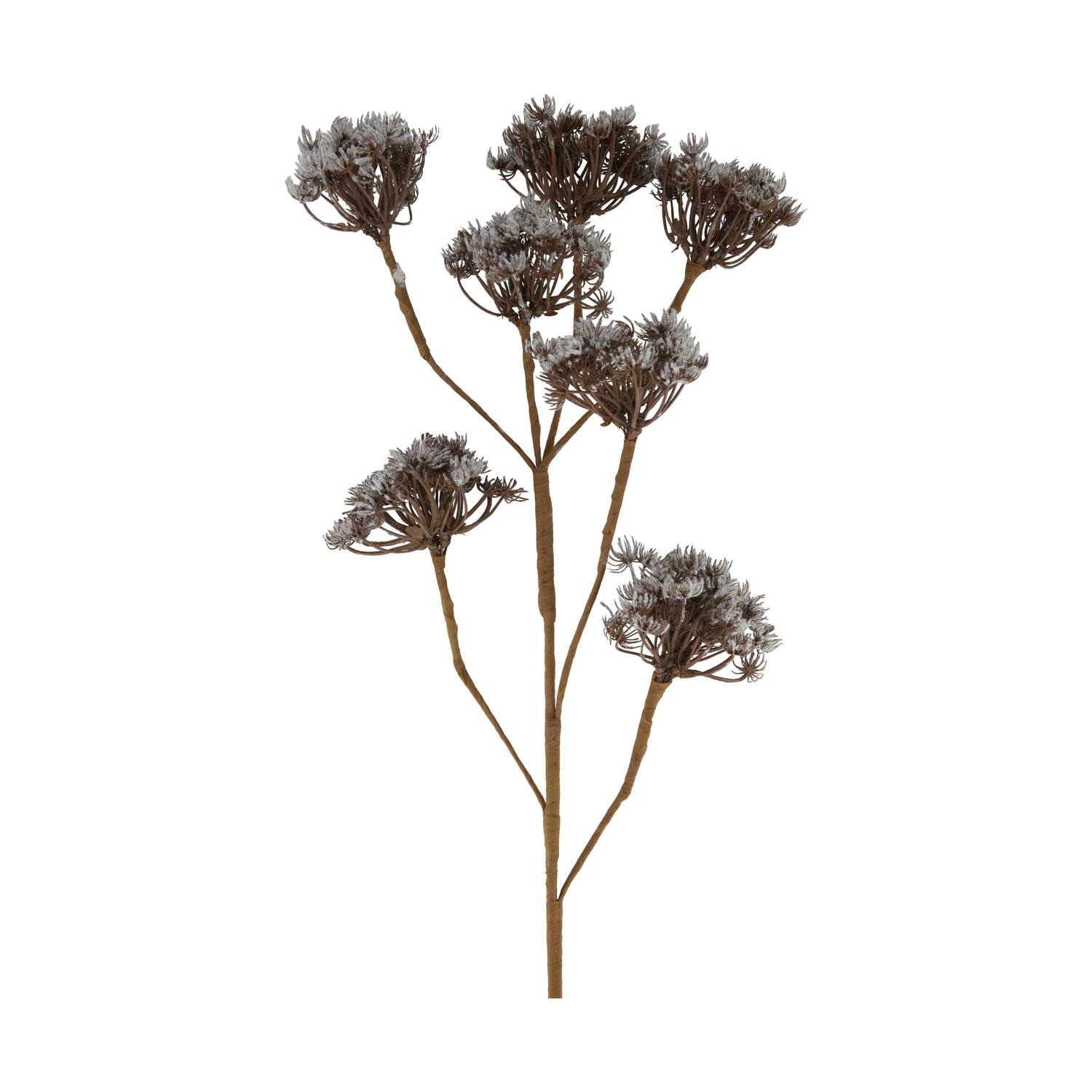 Branch heracleum artificial 115x40x10cm - Brown