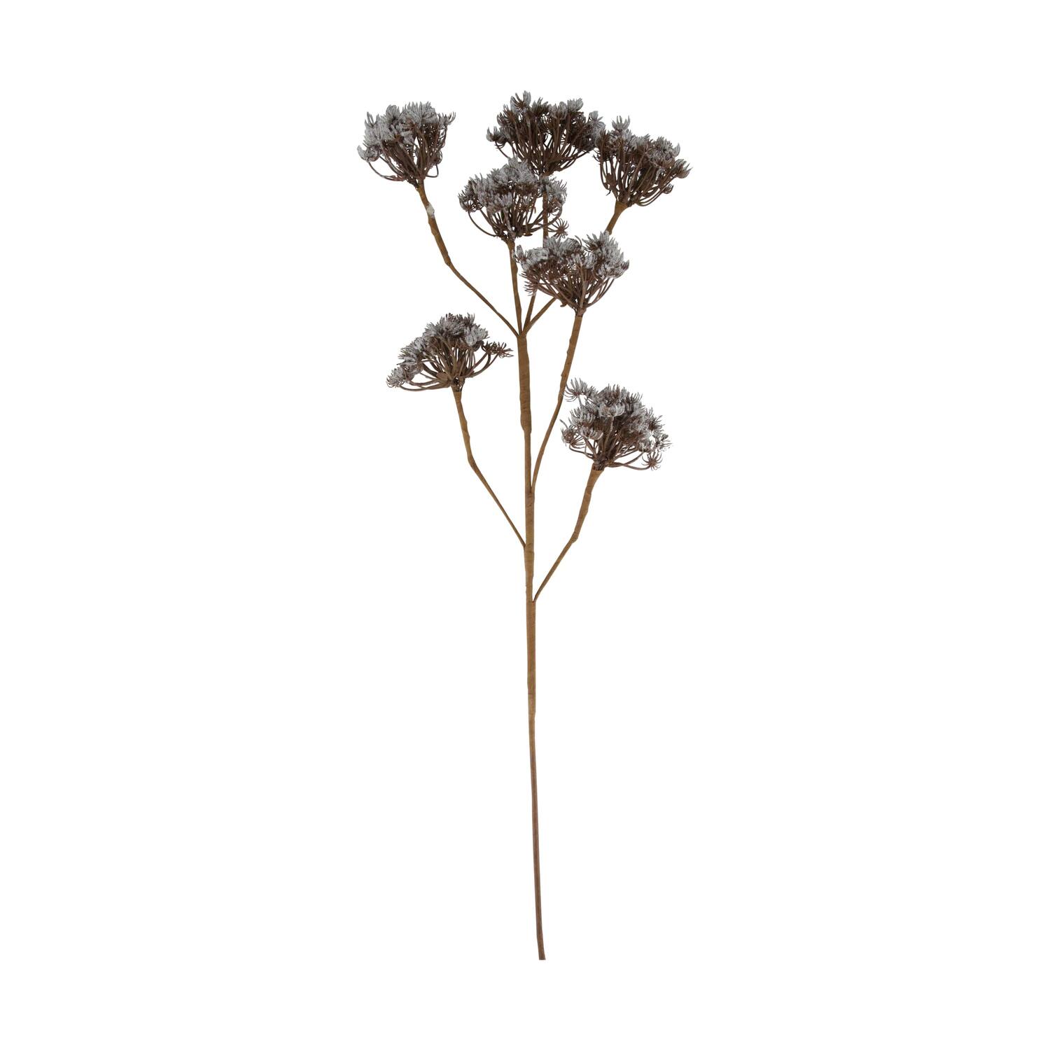 Branch heracleum artificial 115x40x10cm - Brown