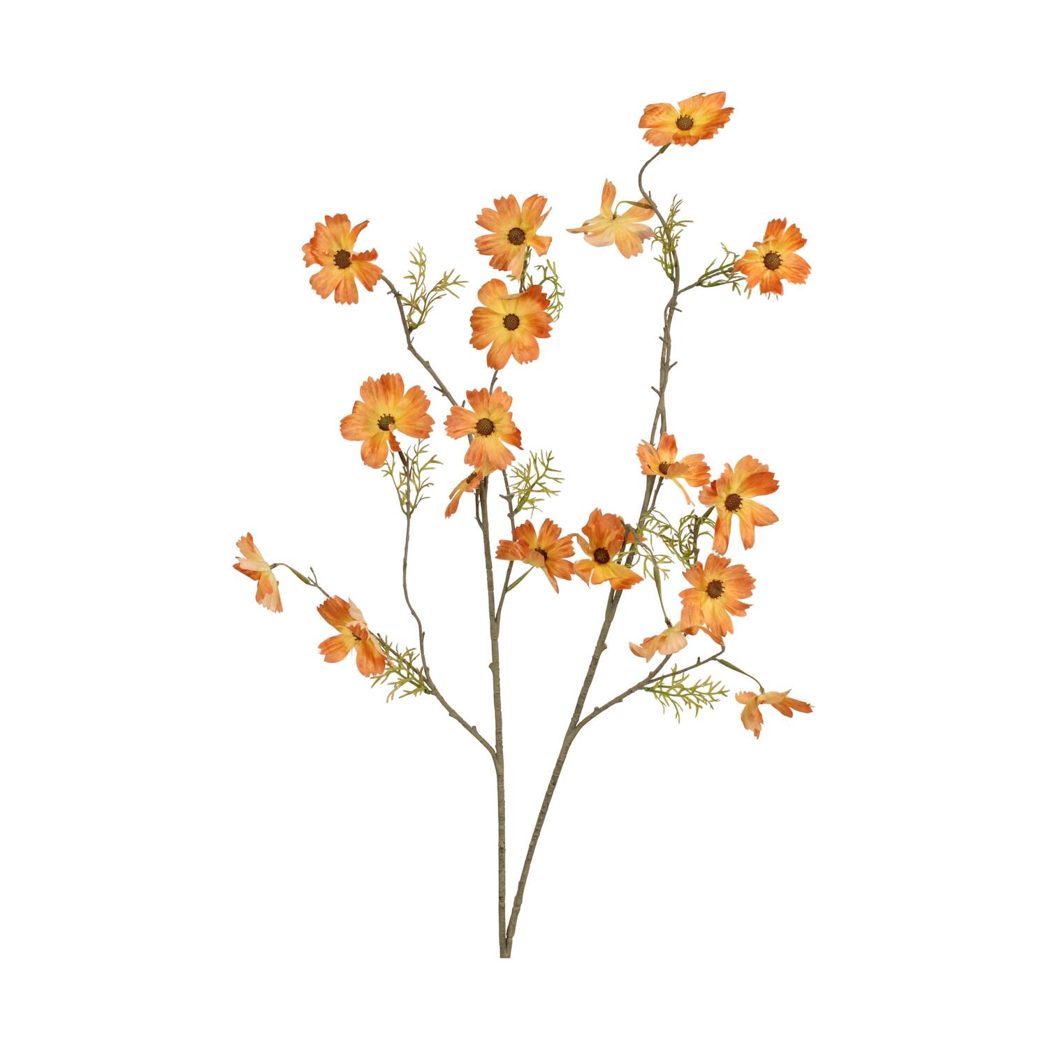 Branch cosmea artificial 11x56x134cm