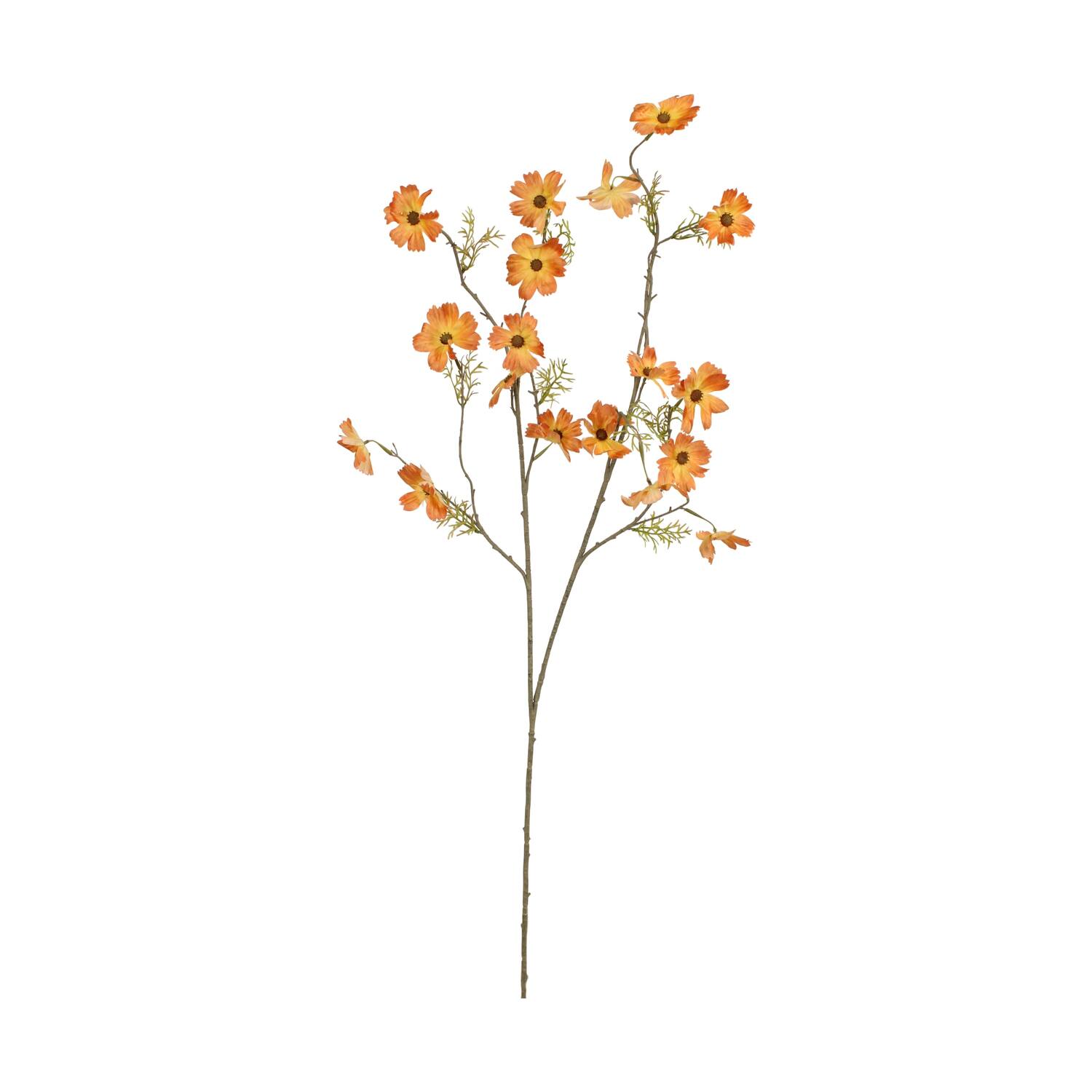 Branch cosmea artificial 11x56x134cm
