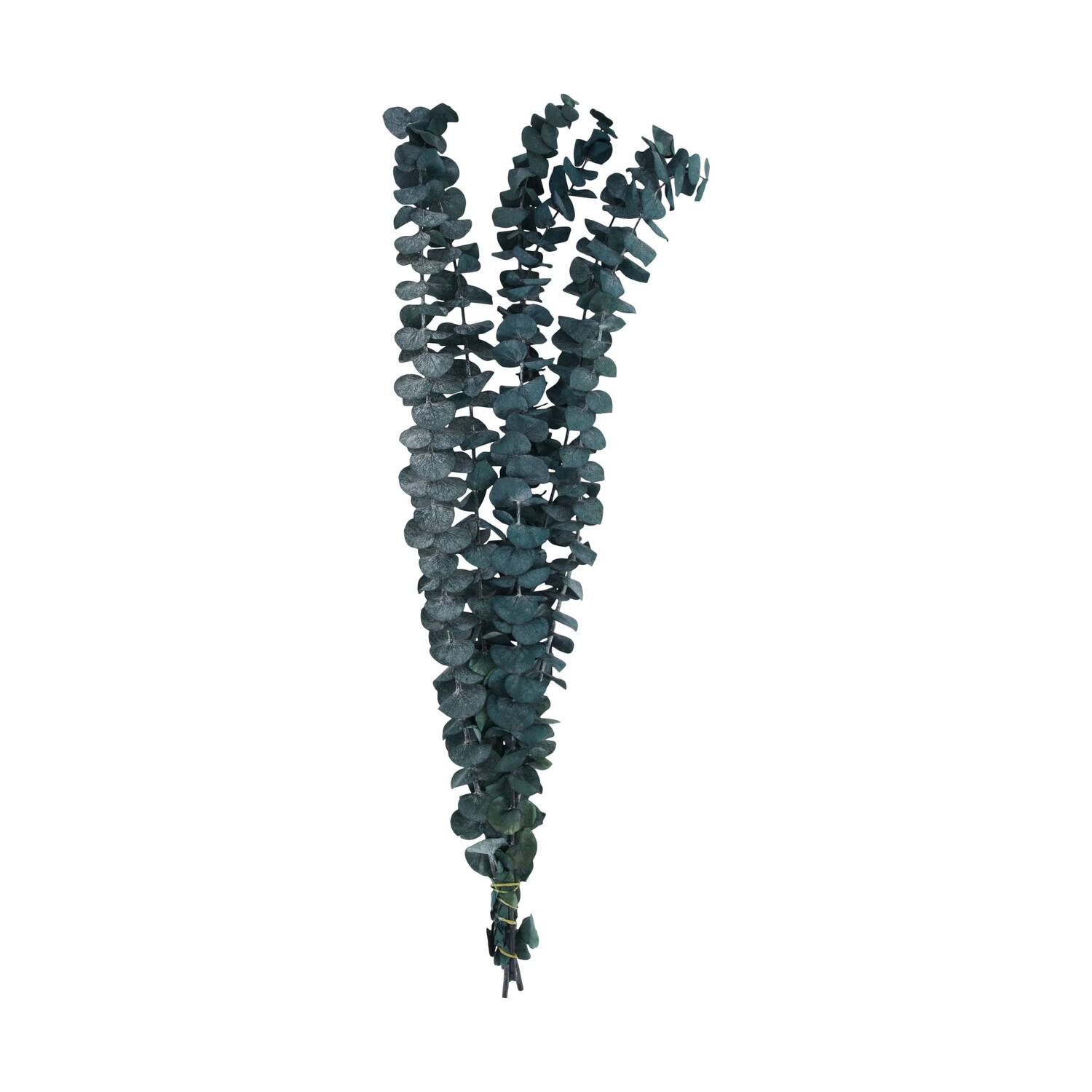 Bundle eucalyptus preserved nature 60x10x4cm