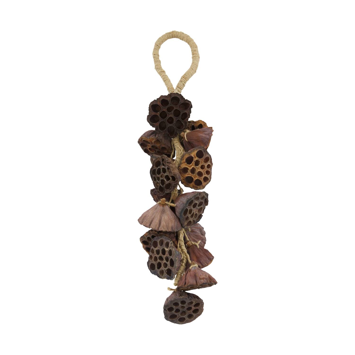 Hanger lotus nature 55x15x7cm