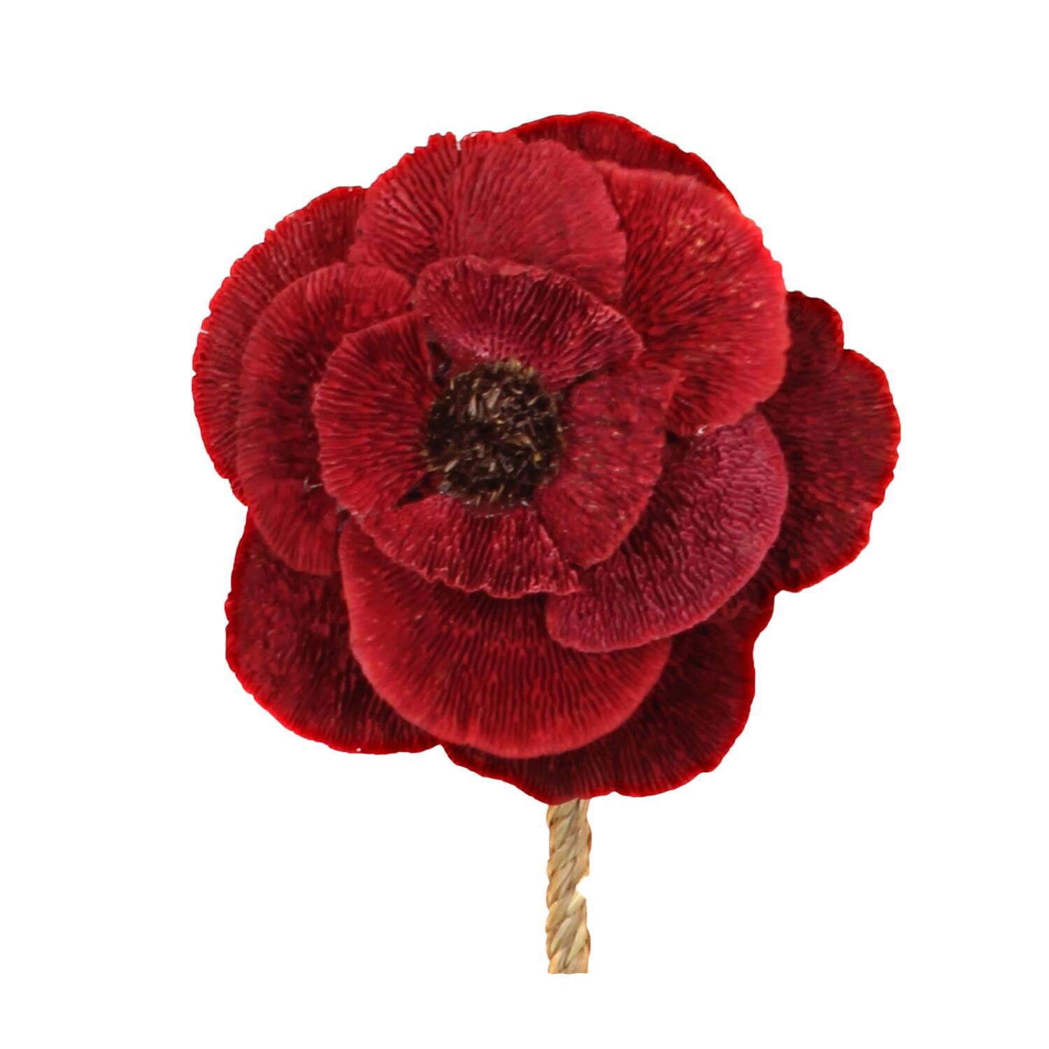 Flower sponge mushroom nature 70x15x15cm