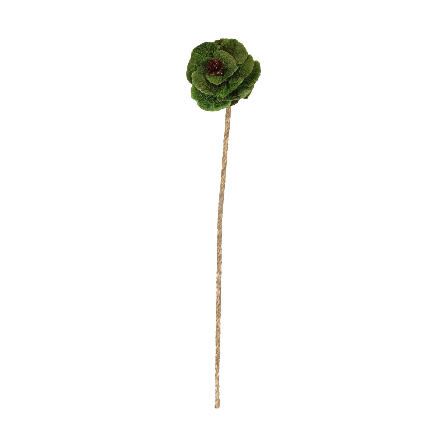 Fleur champignon éponge nature 70x15x15cm vert