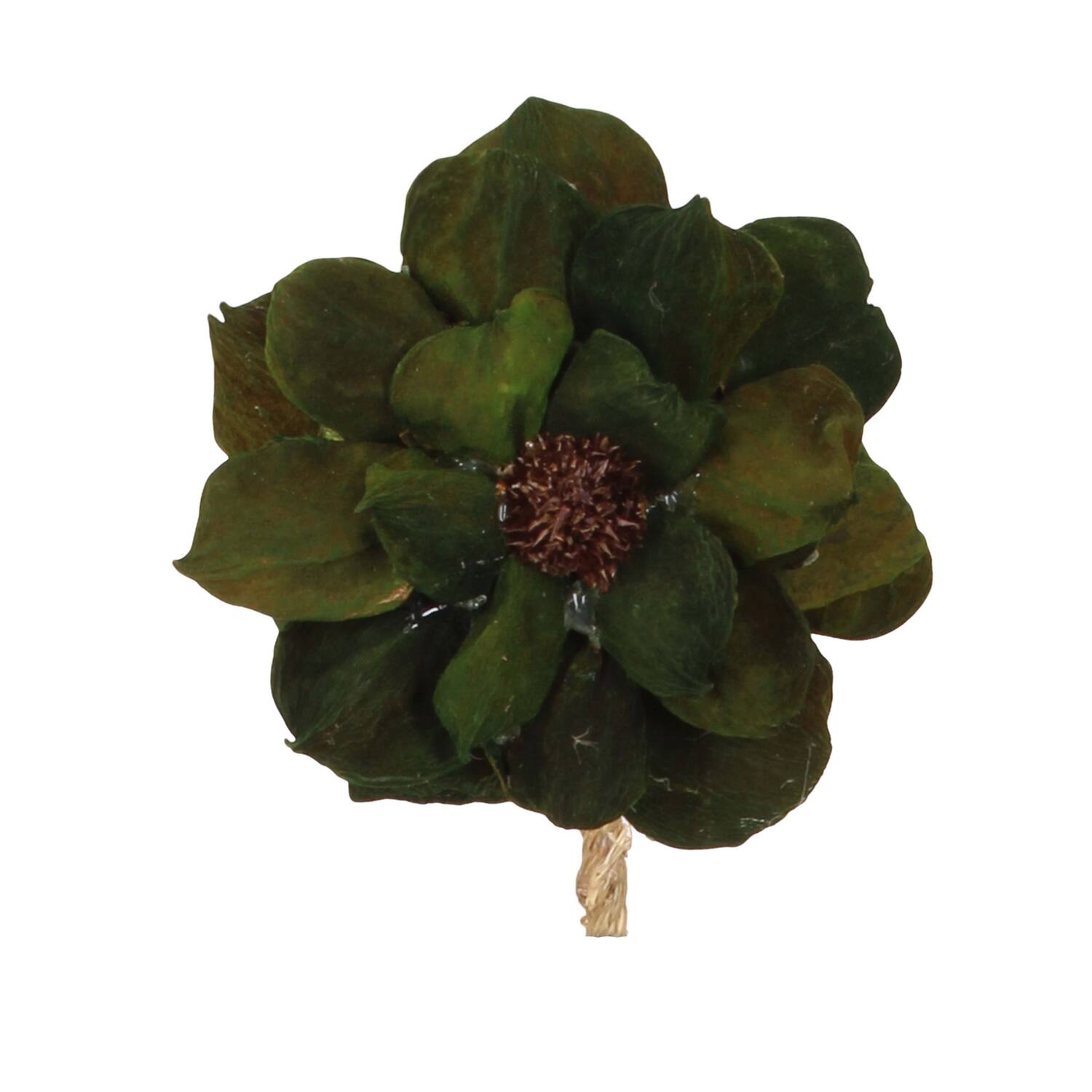 Flower landlotus petal nature 70x15x15cm Green