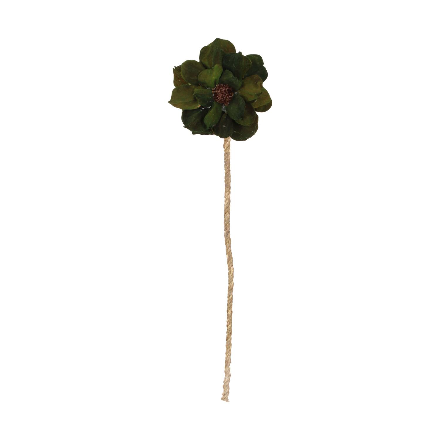 Flower landlotus petal nature 70x15x15cm Green