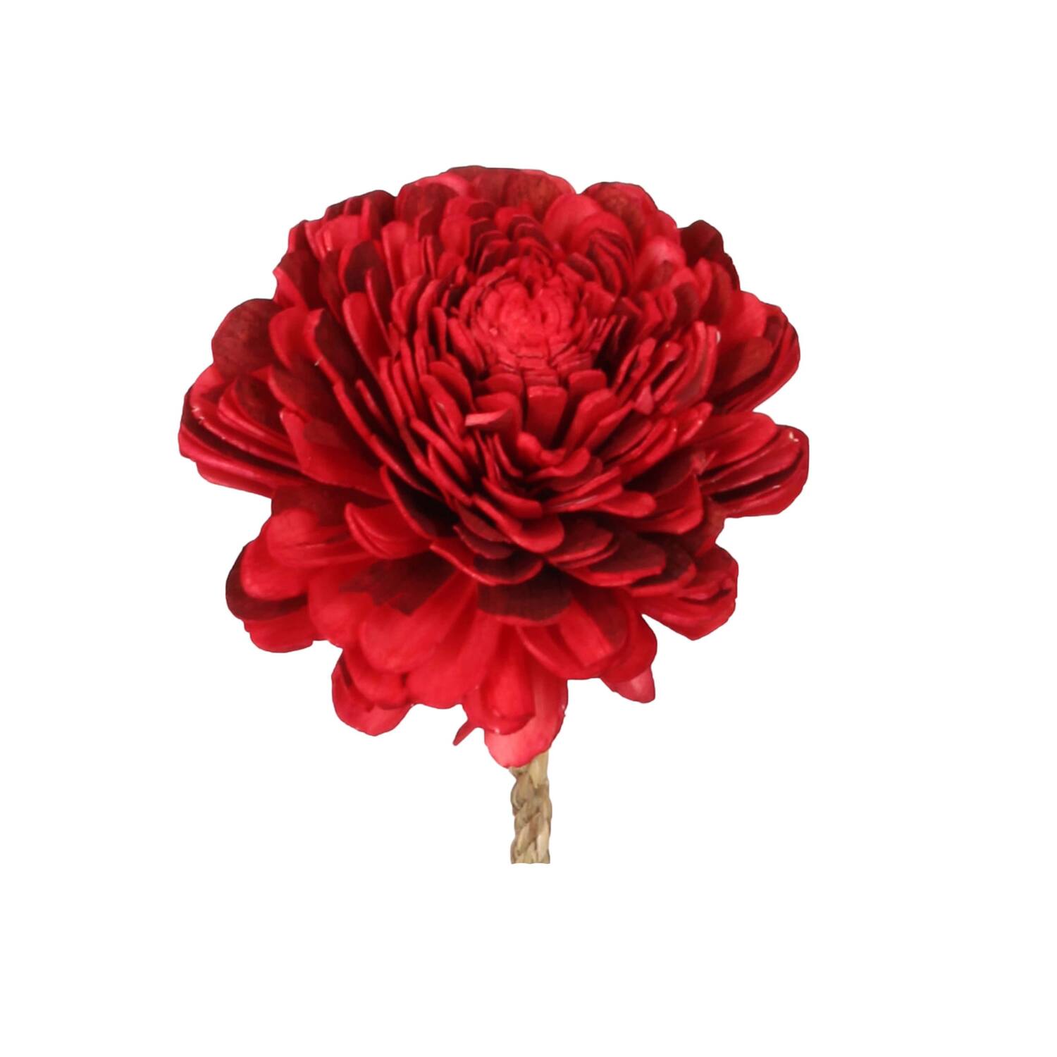 Fleur sola belli nature 70x12x12cm rouge