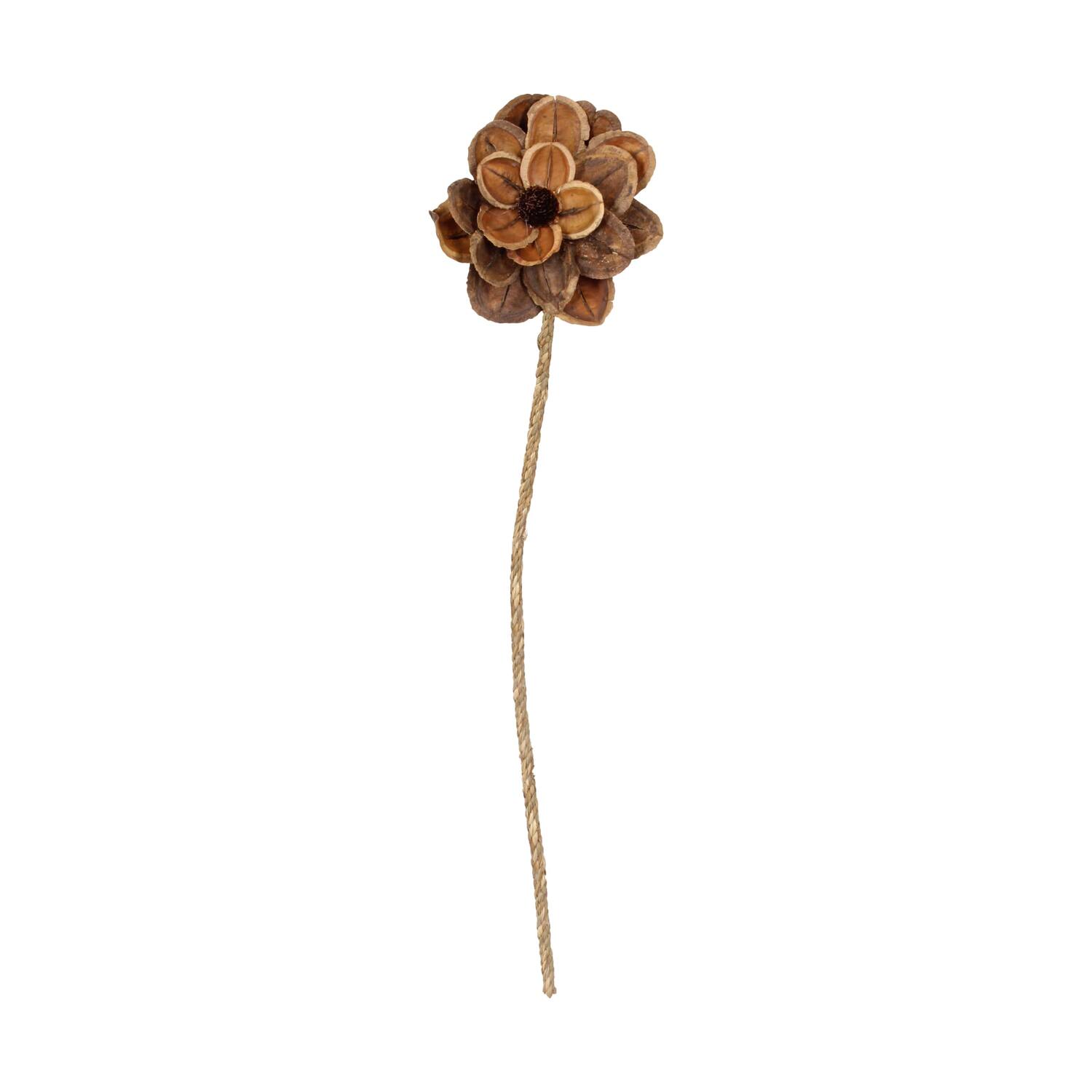 Blume Jacaranda Natur 70x15x15cm Natur