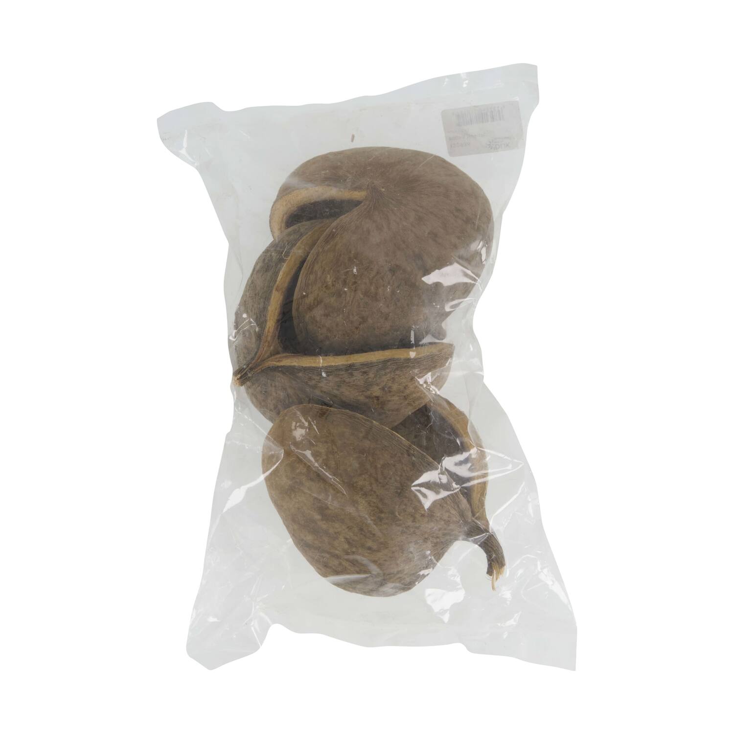 Buddha nut nature 30x20x11cm 3pc