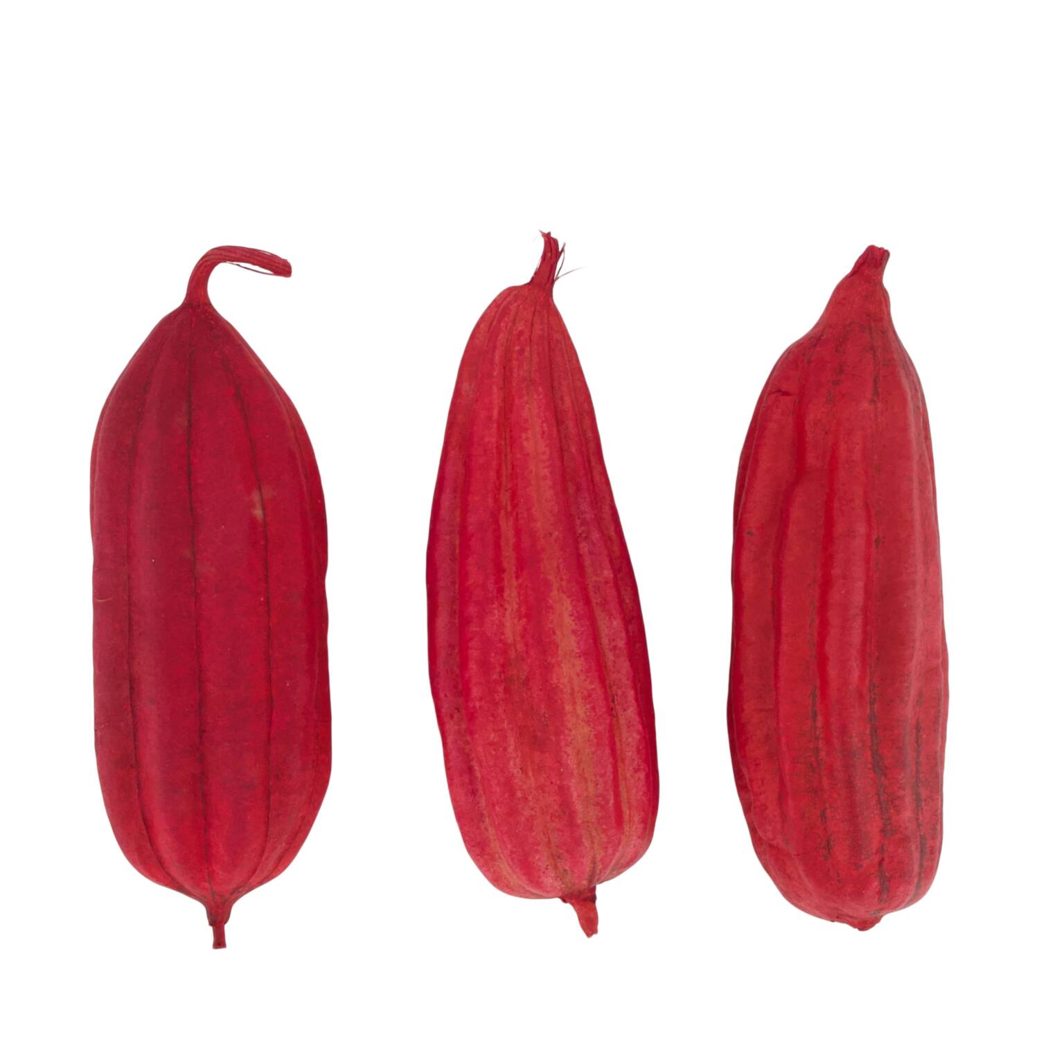 Mélange de fruits jingha peint nature 25x20x6cm rouge 3pc