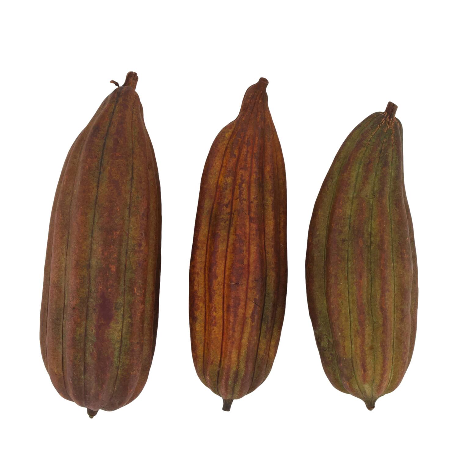 Fruit mix jingha painted nature 25x20x6cm Brown 3pc