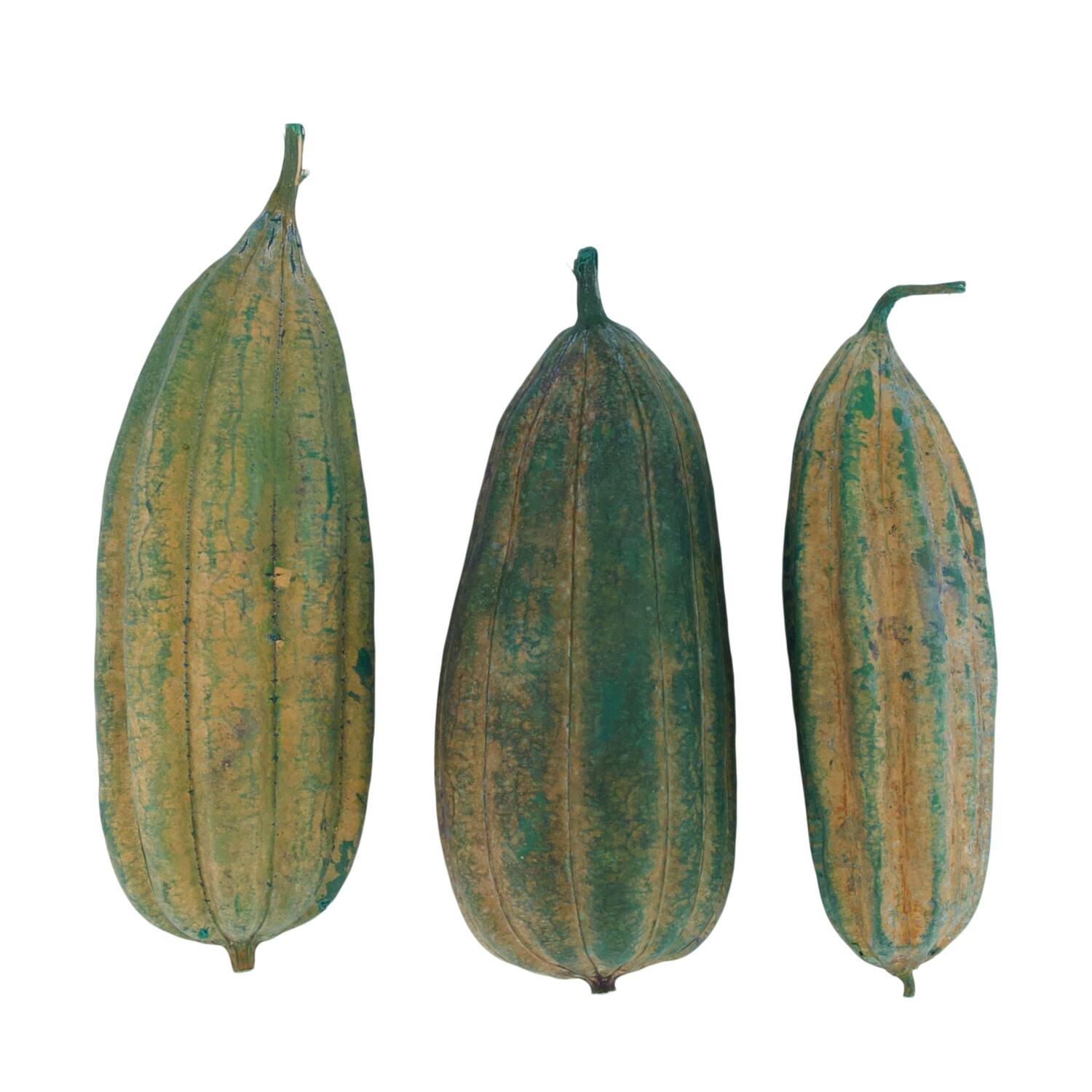 Mélange de fruits jingha peint nature 25x20x6cm vert 3pc