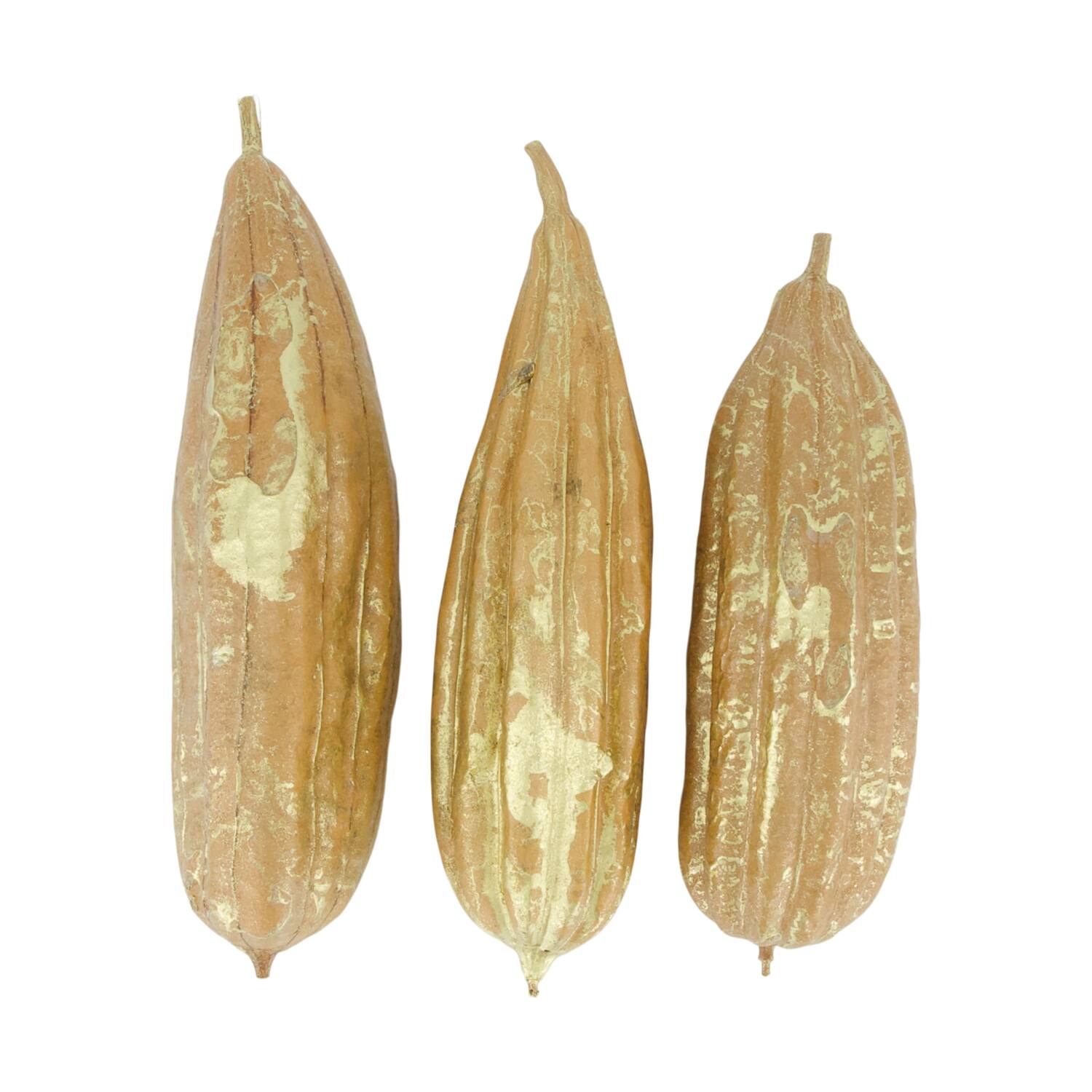 Frucht-Mischung gemalter Jingha Natur 25x20x6cm Gold wash 3stk