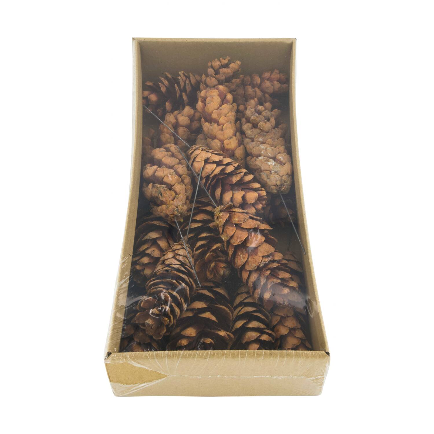 Cône de pin strobus nature sur fil 38x18x8cm naturel 20pc