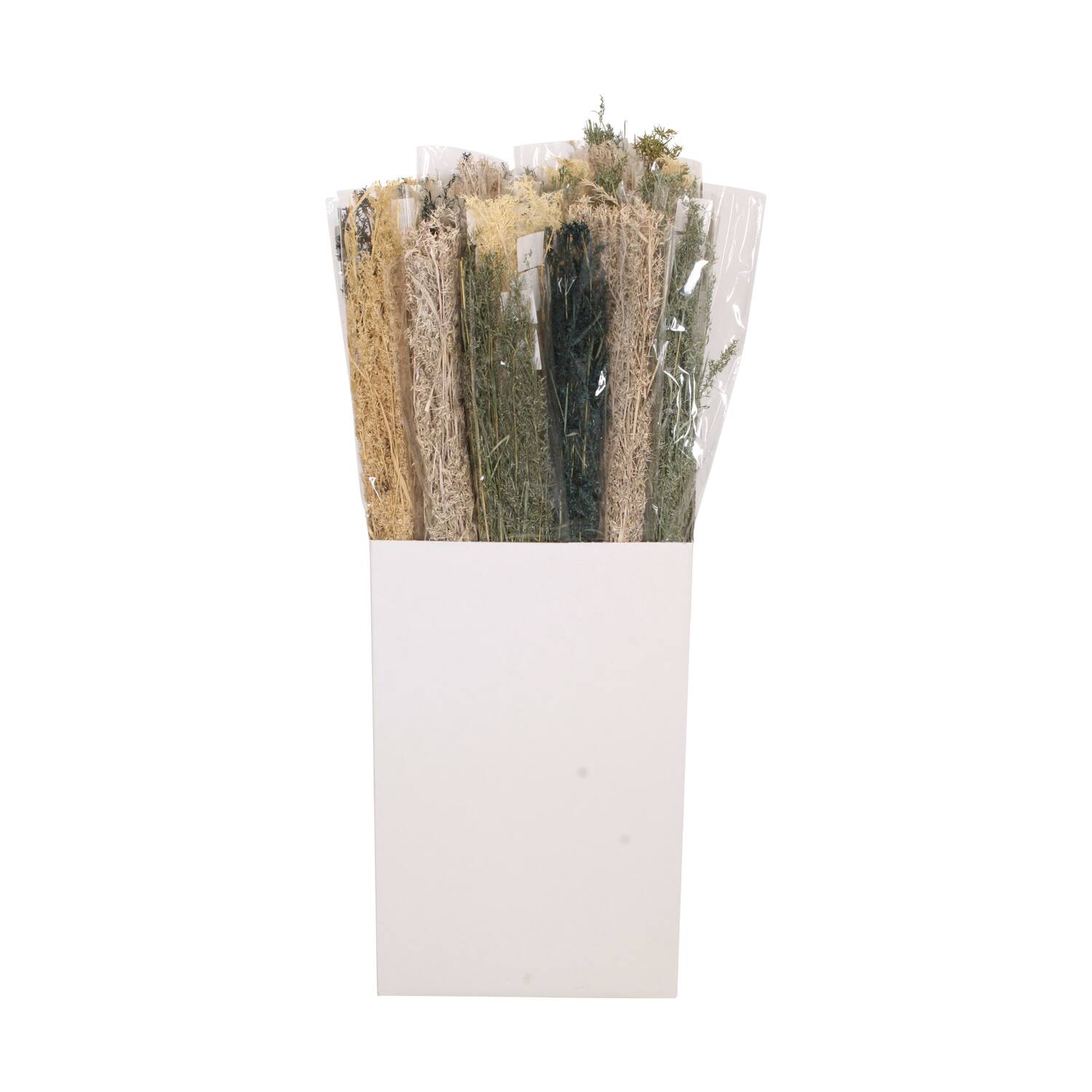 Alfonso grass nature 15x5x100cm 100gr
