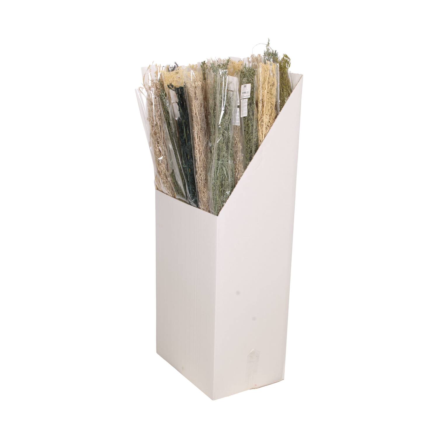 Alfonso grass nature 15x5x100cm 100gr