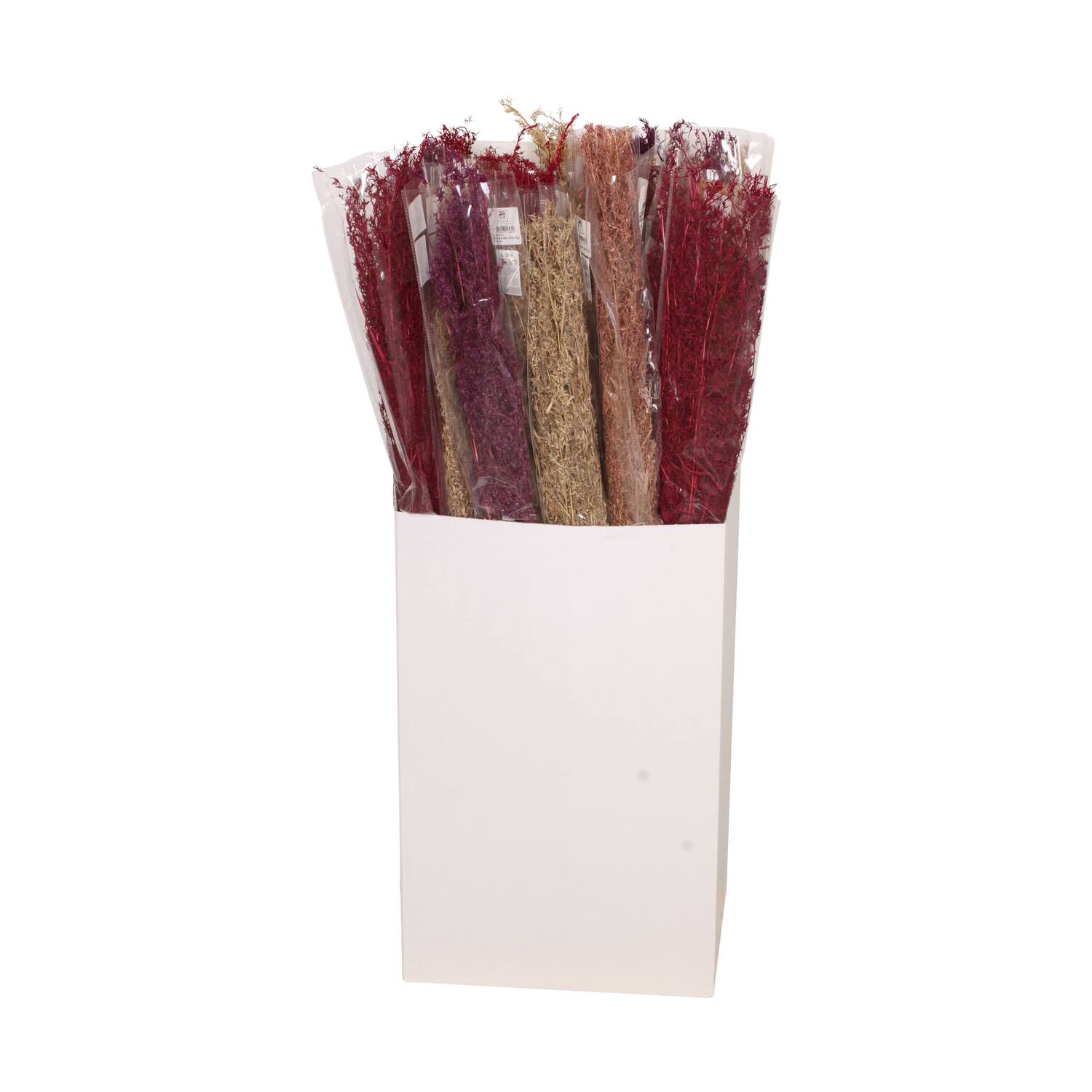 Alfonso grass nature 15x5x100cm 100gr