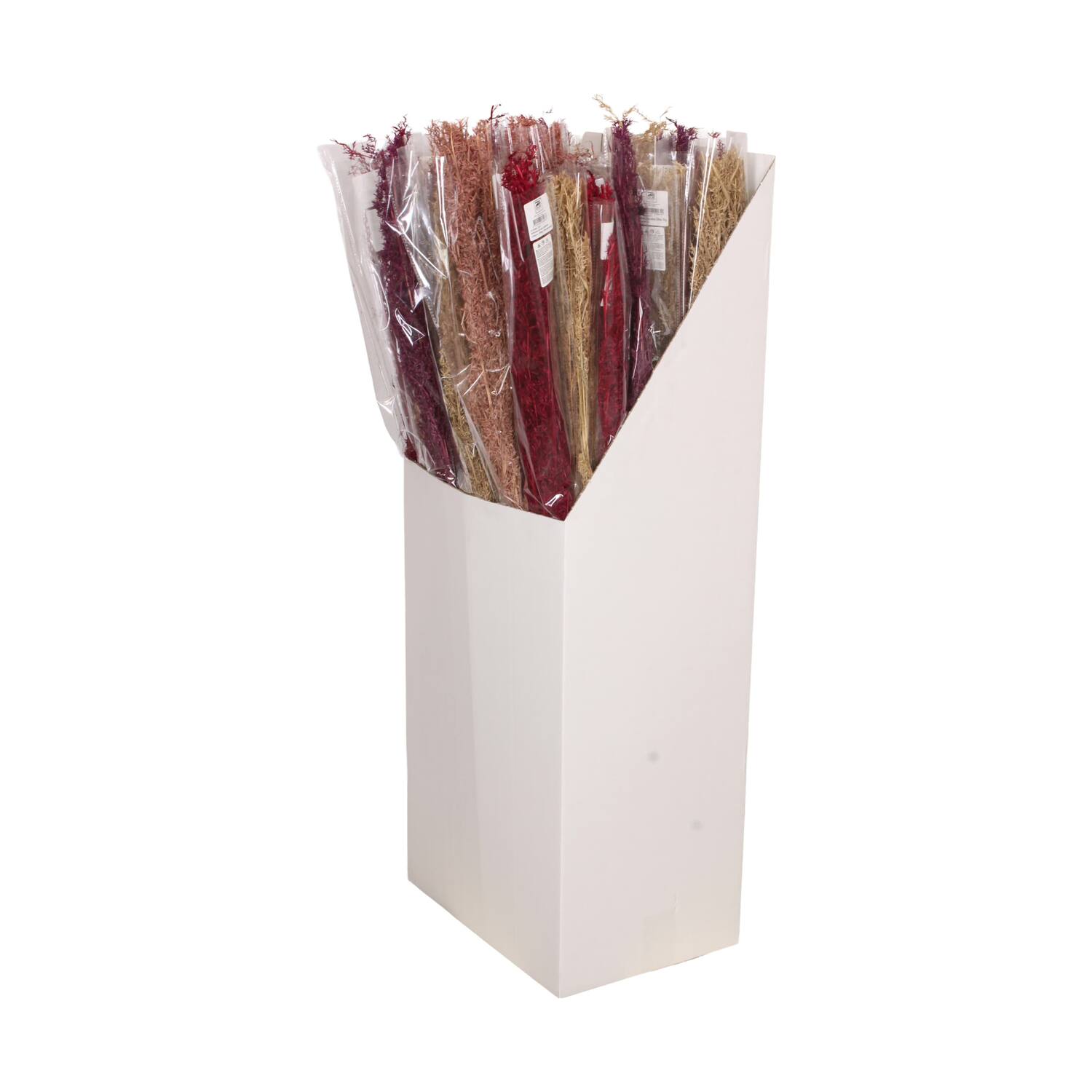 Alfonso grass nature 15x5x100cm 100gr