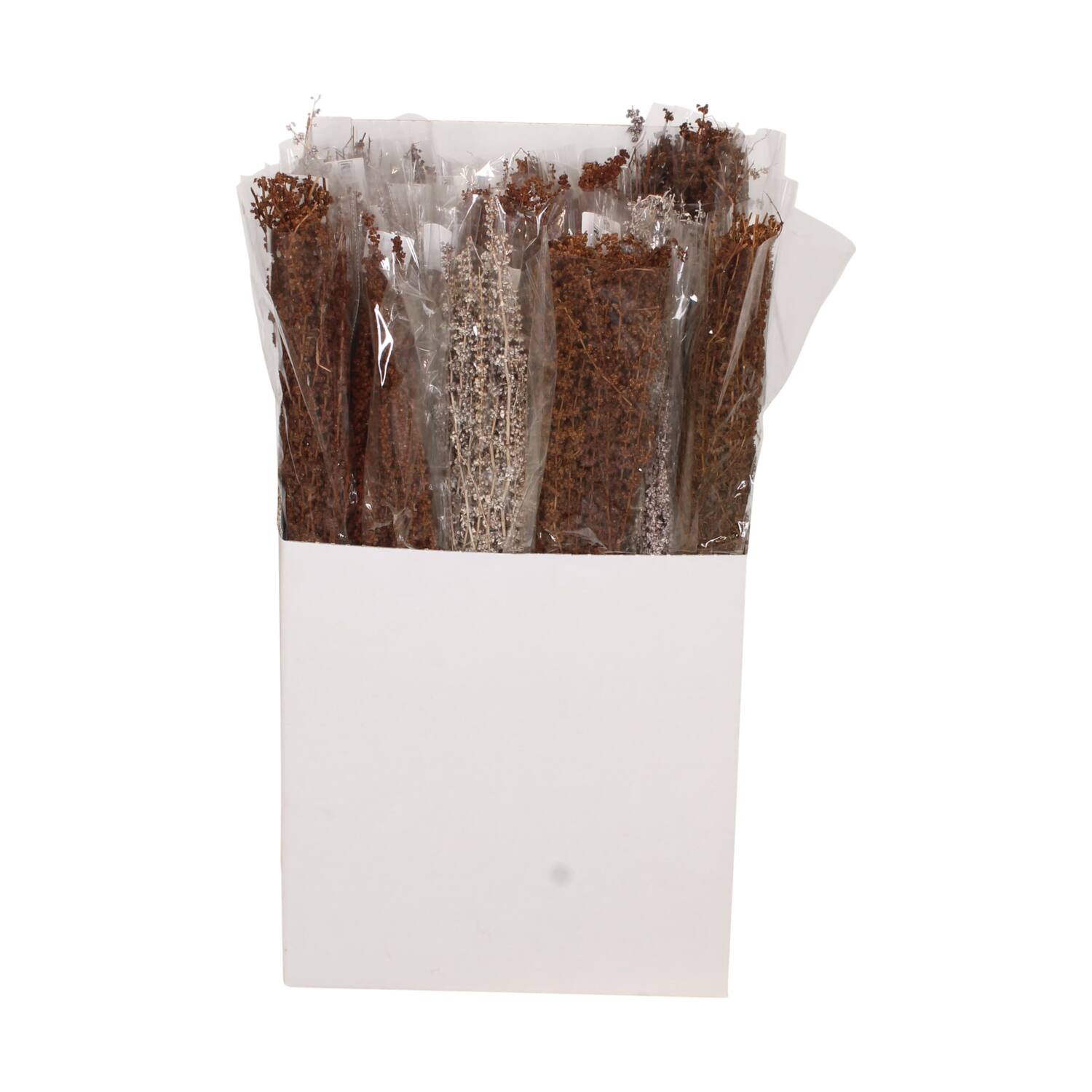 Palma grass nature 20x10x65cm 100gr