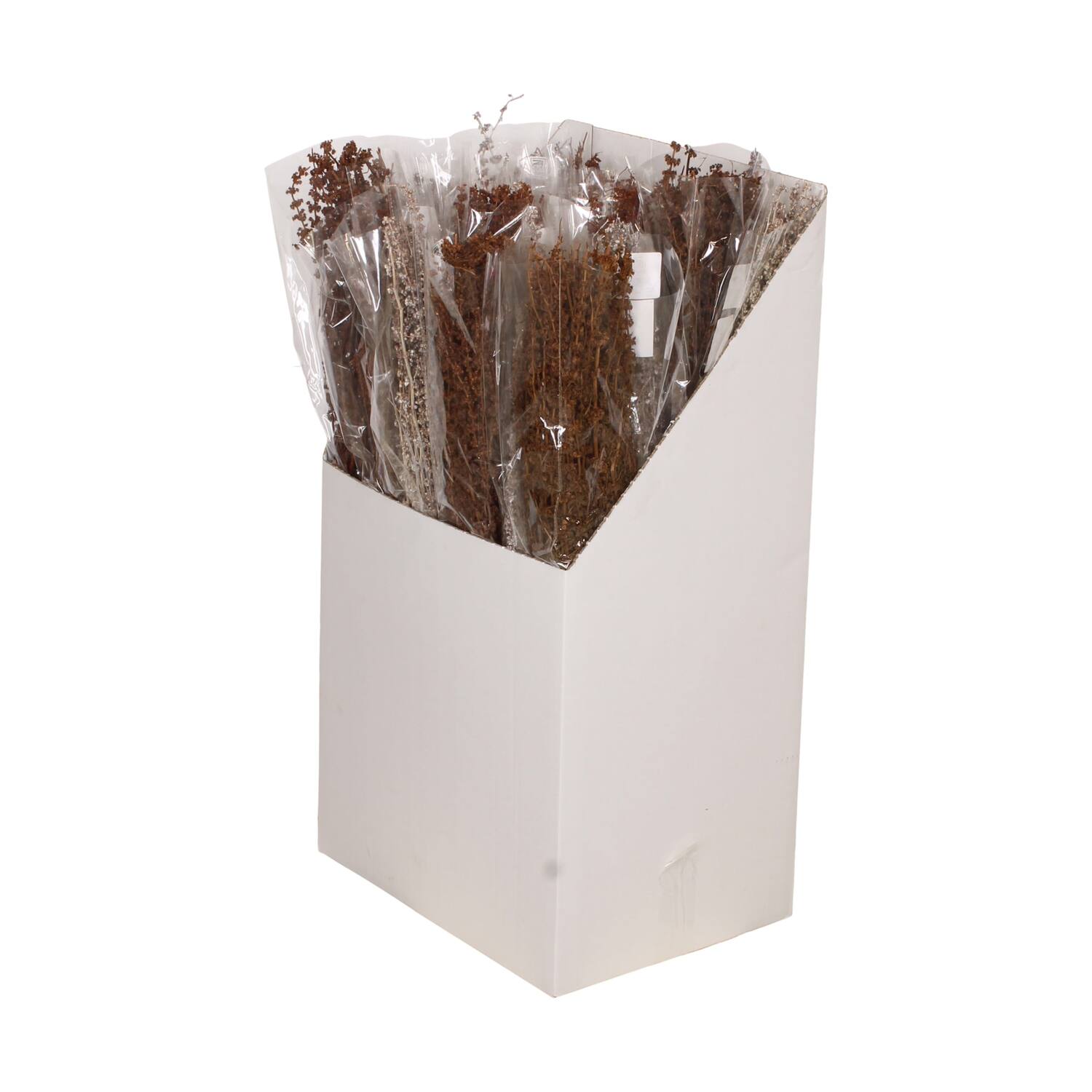 Palma grass nature 20x10x65cm 100gr