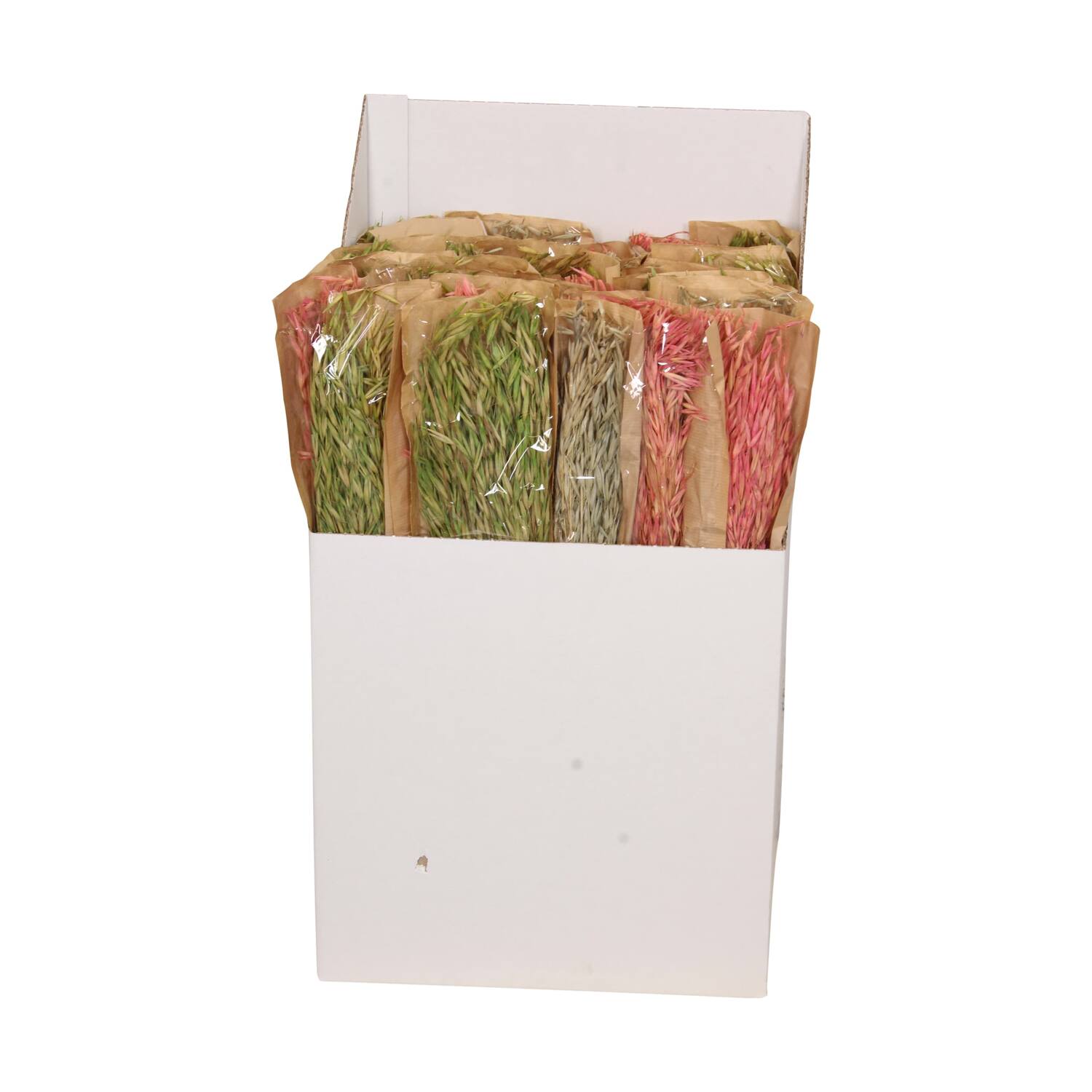 Avena nature 60x10x6.5cm 75gr