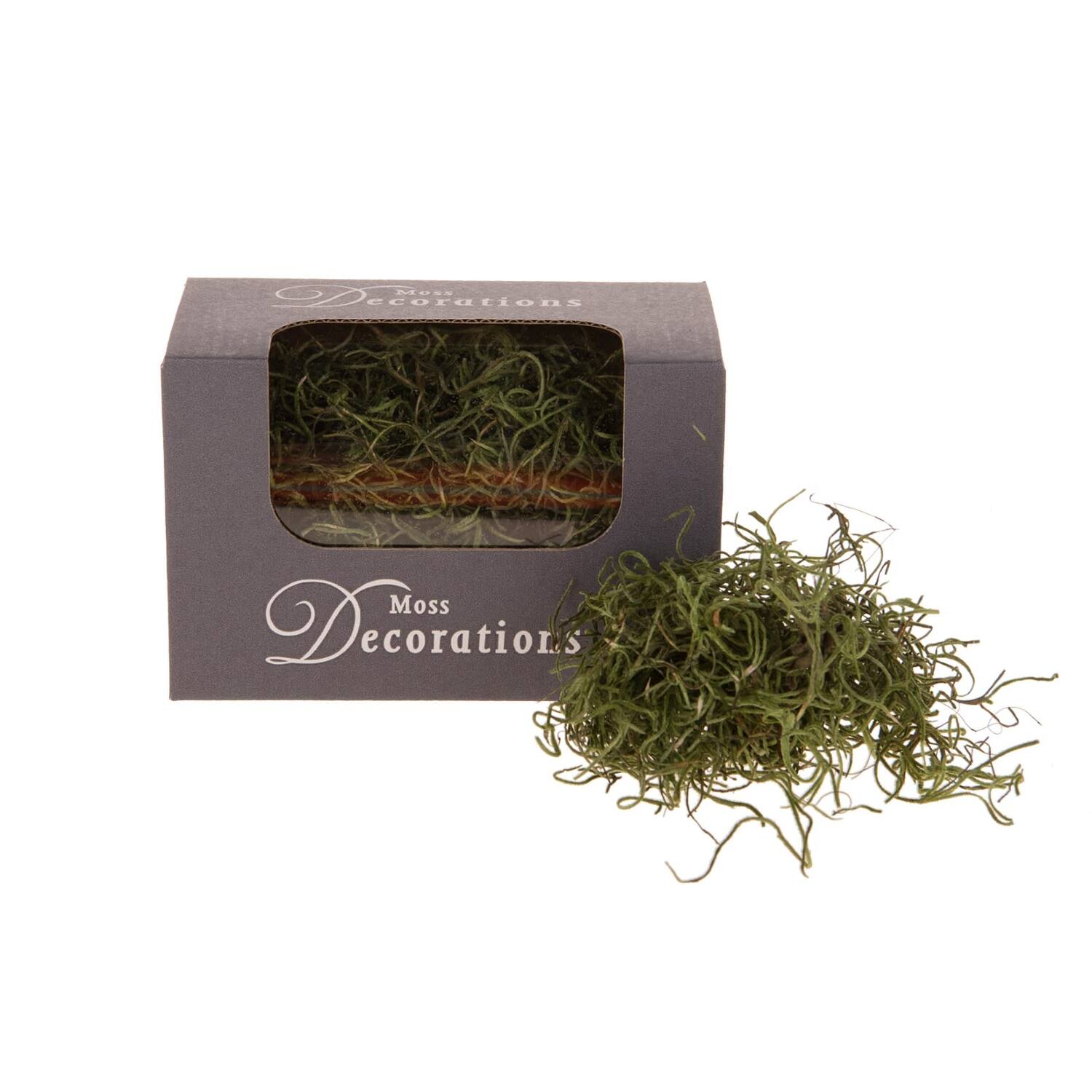 Tillandsiamoss 30gr in box - Green