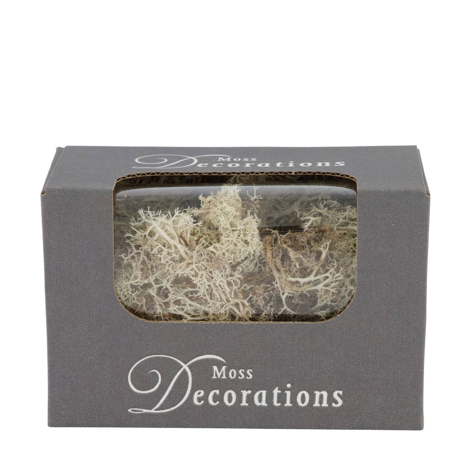 Moss reindeer 50gr nature 14x8x10cm - Natural