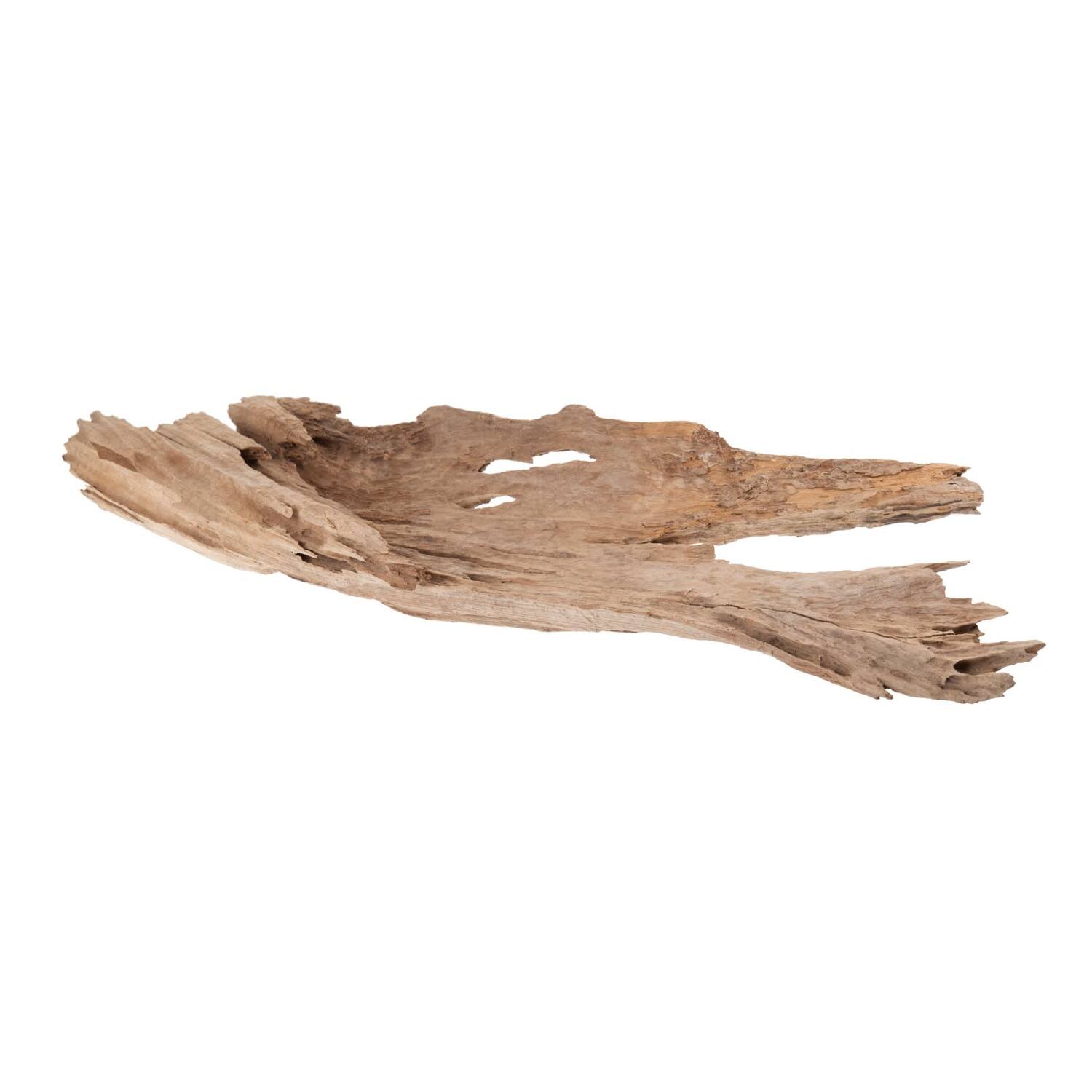 Root erosion wood 110x36x2cm